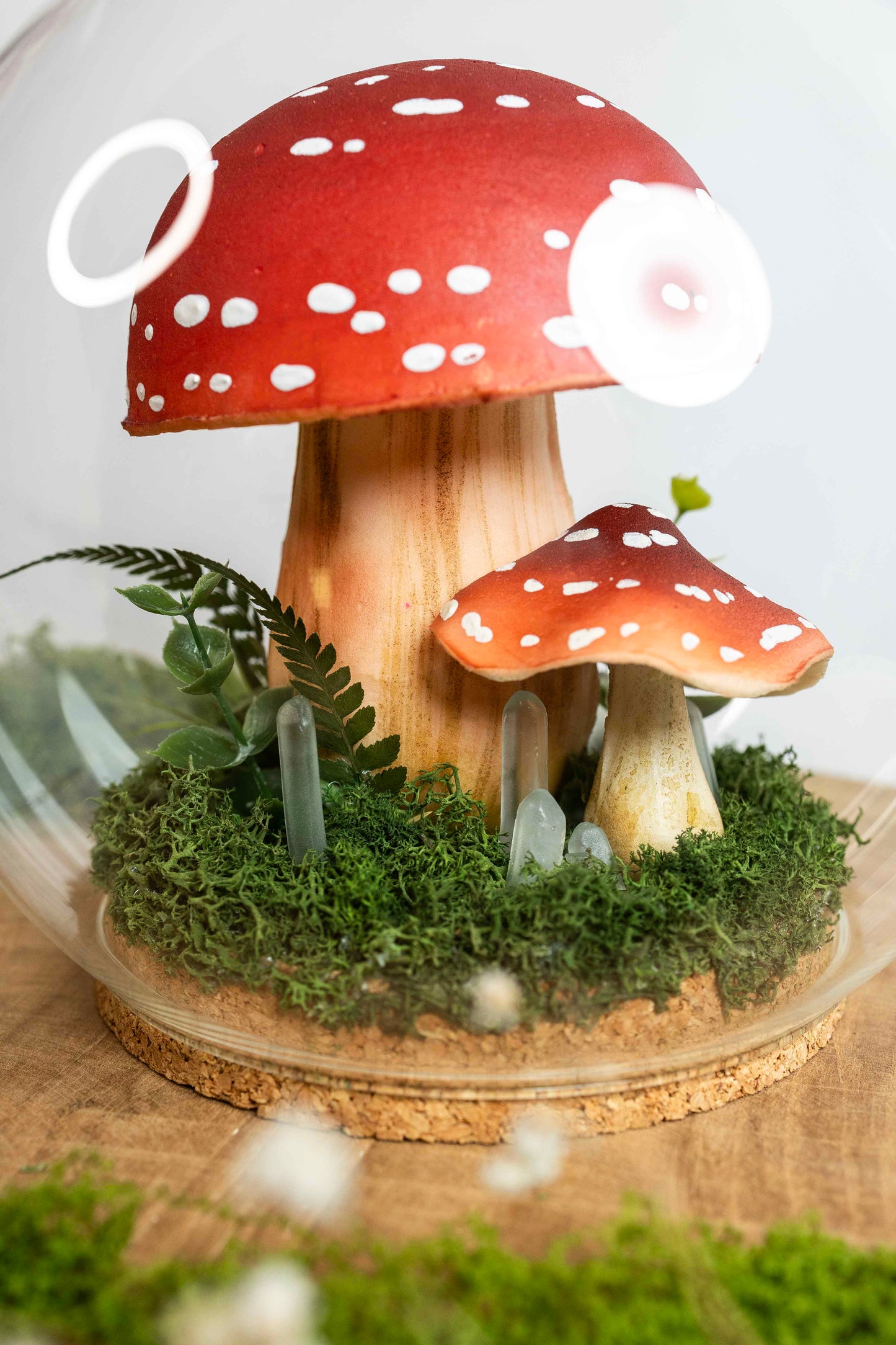 🍄 Pilzwelt unter Glas✨