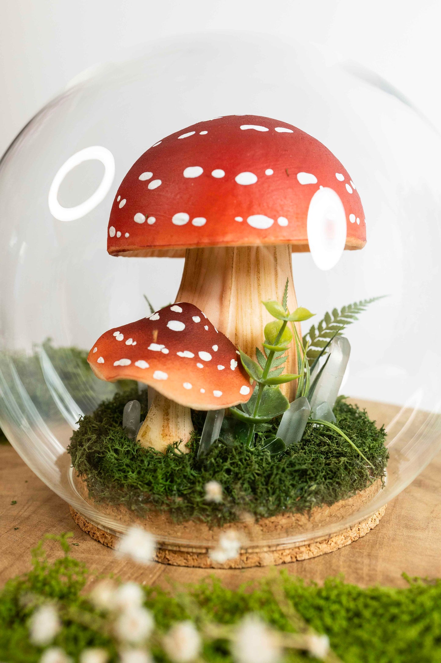 🍄 Pilzwelt unter Glas✨