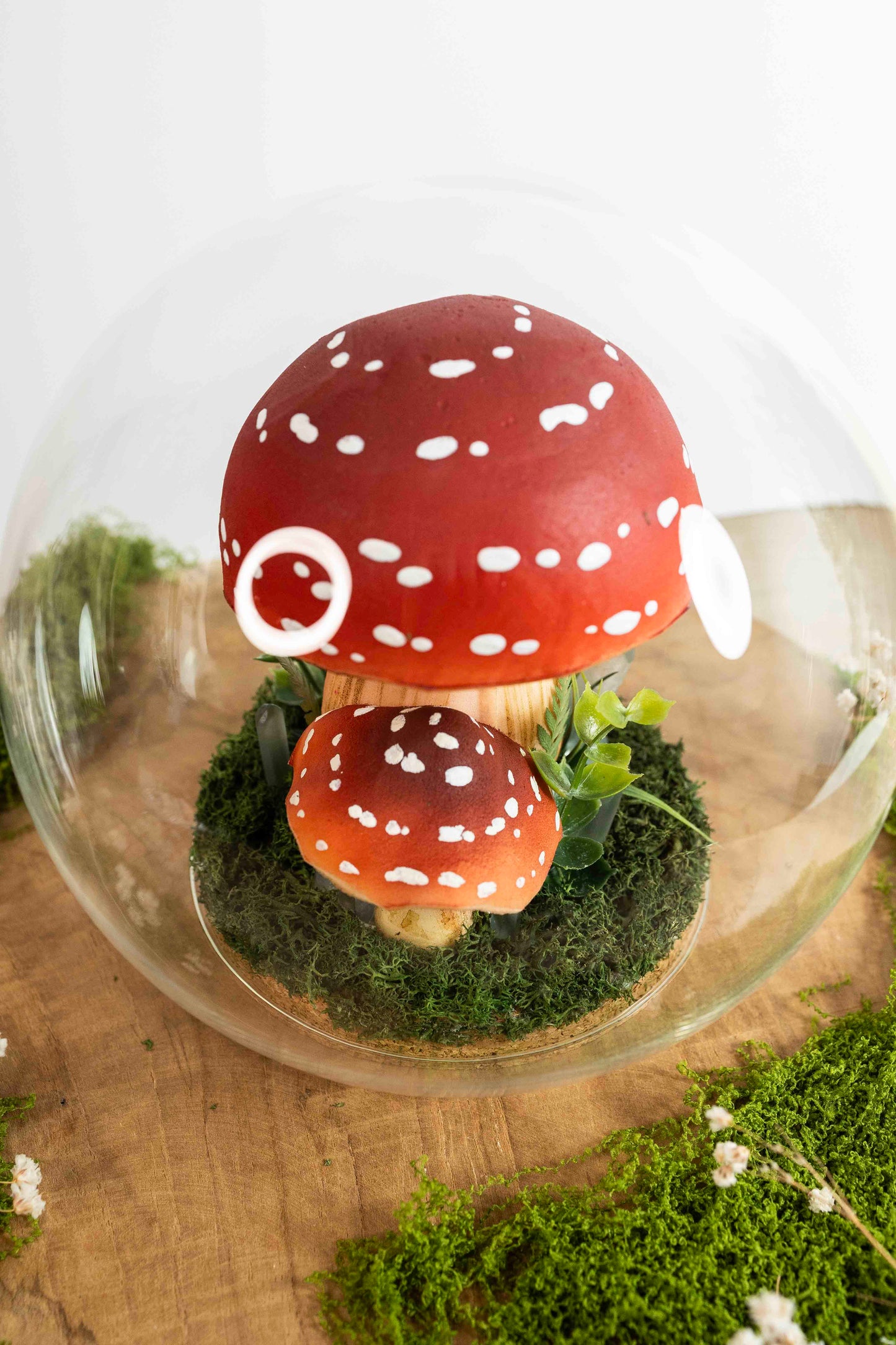 🍄 Pilzwelt unter Glas✨