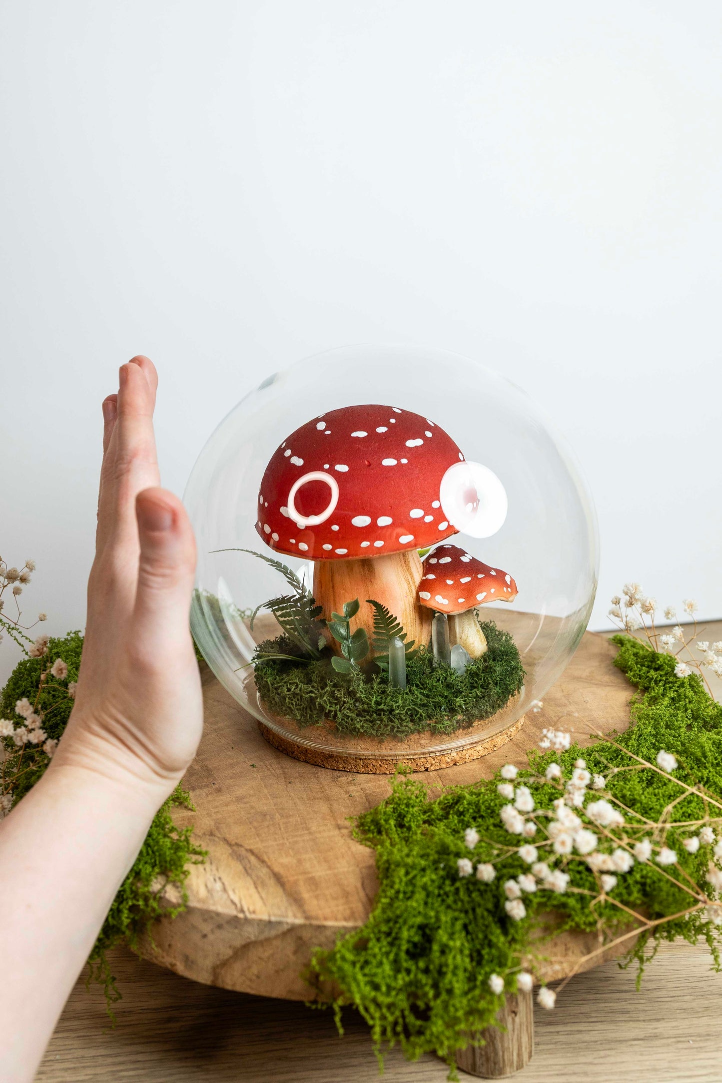 🍄 Pilzwelt unter Glas✨