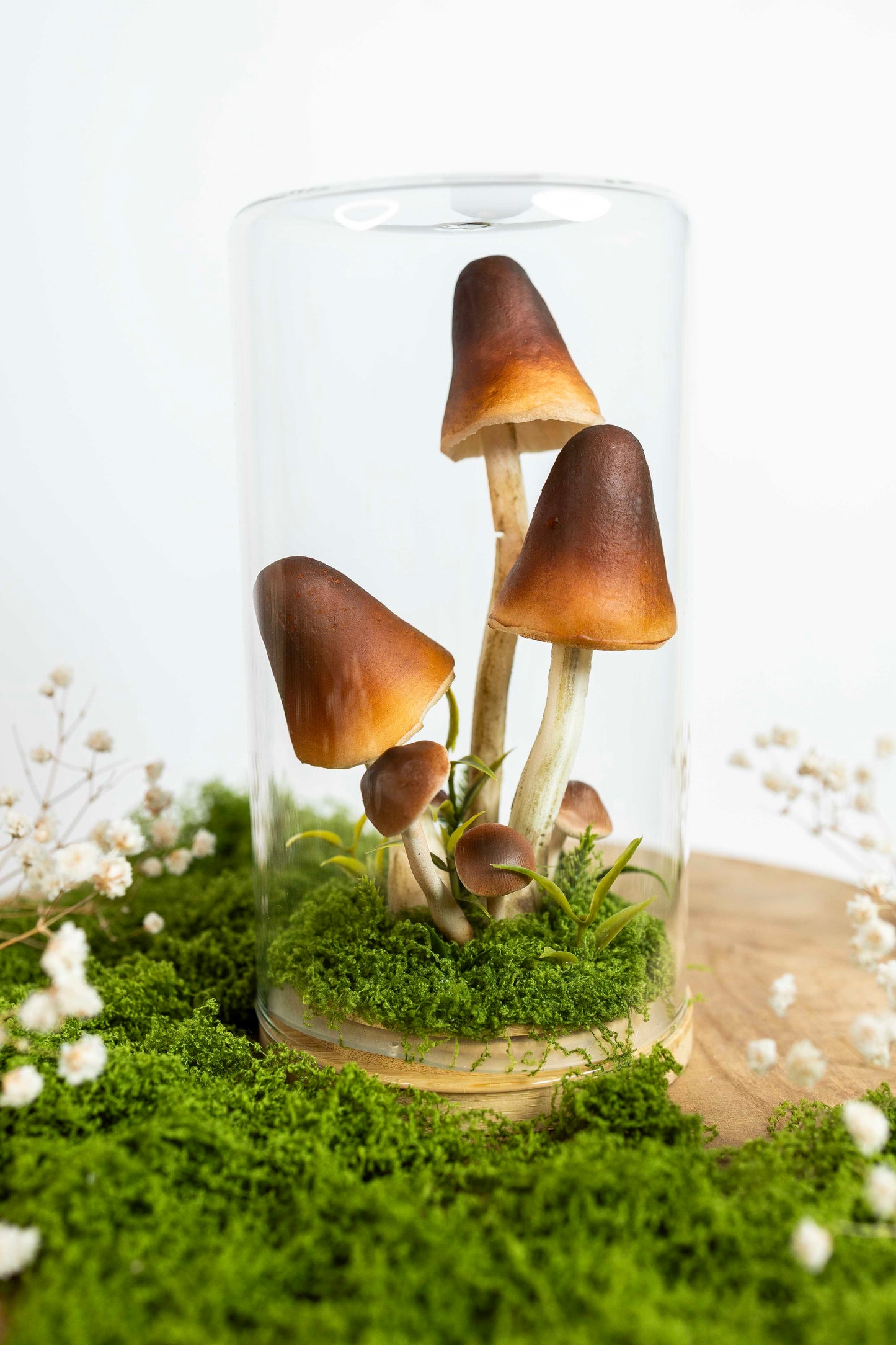 🍄 Pilzgarten - braun 🌰