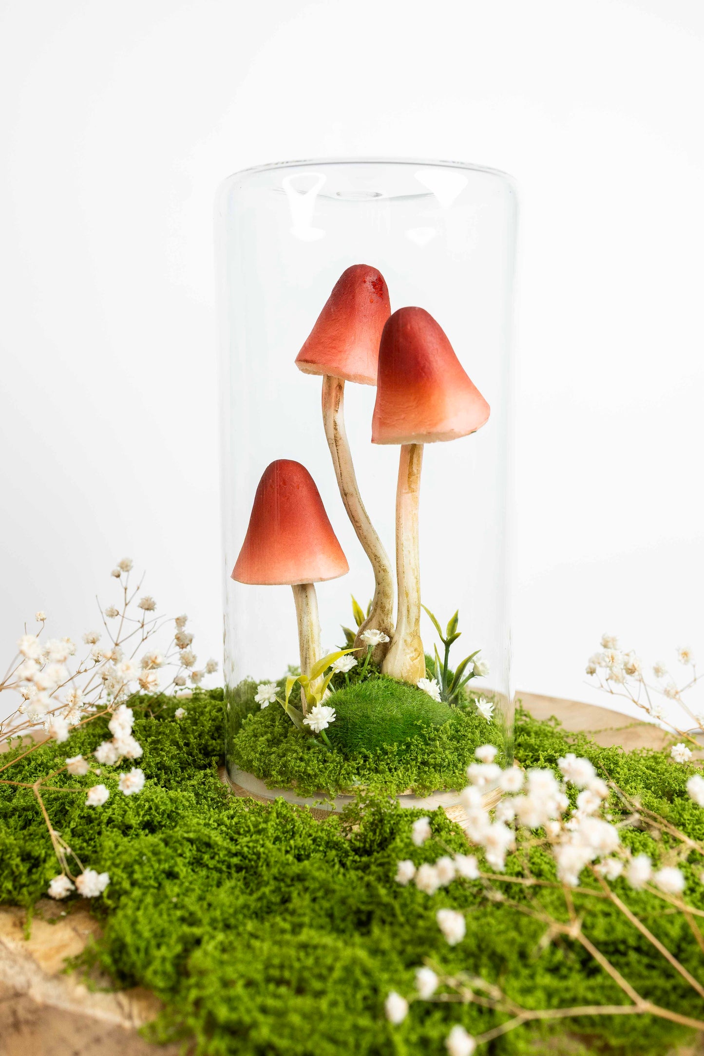 🍄 Pilzgarten - rot