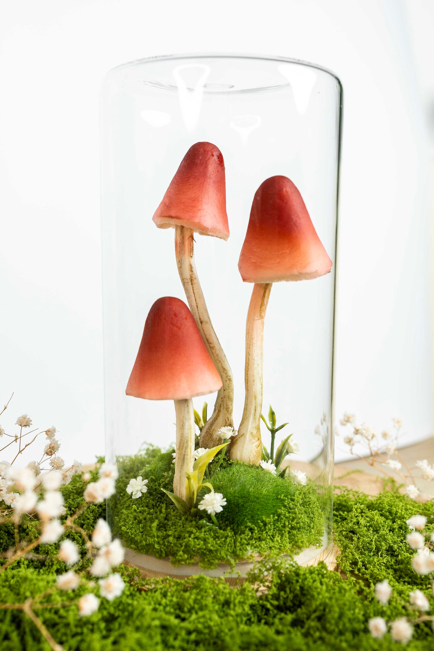 🍄 Pilzgarten - rot