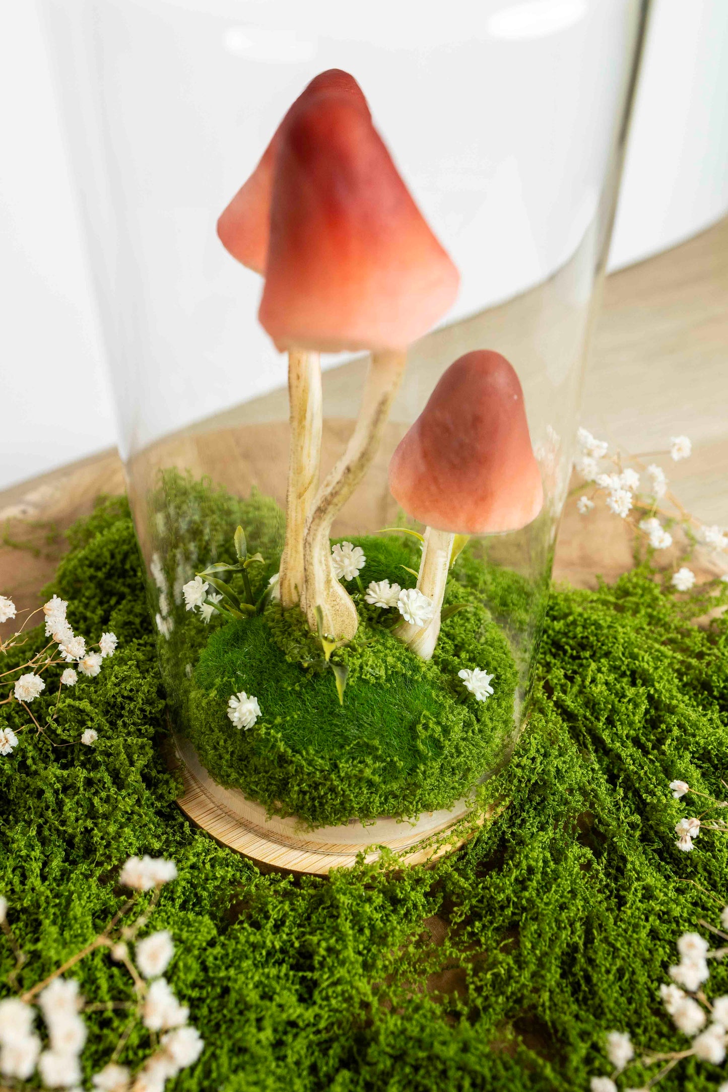 🍄 Pilzgarten - rot