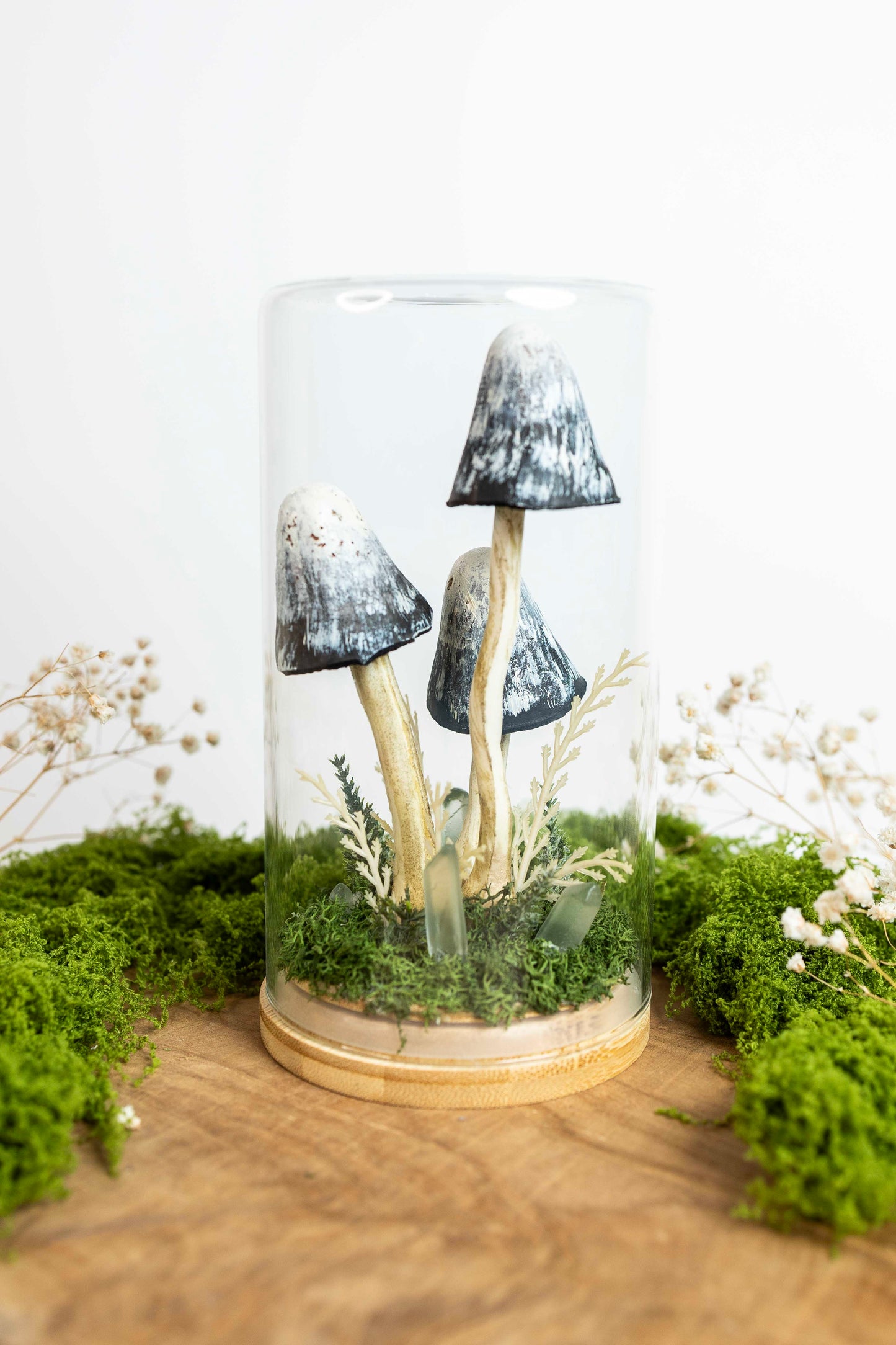 🍄 Pilzgarten - Tintling ⚫