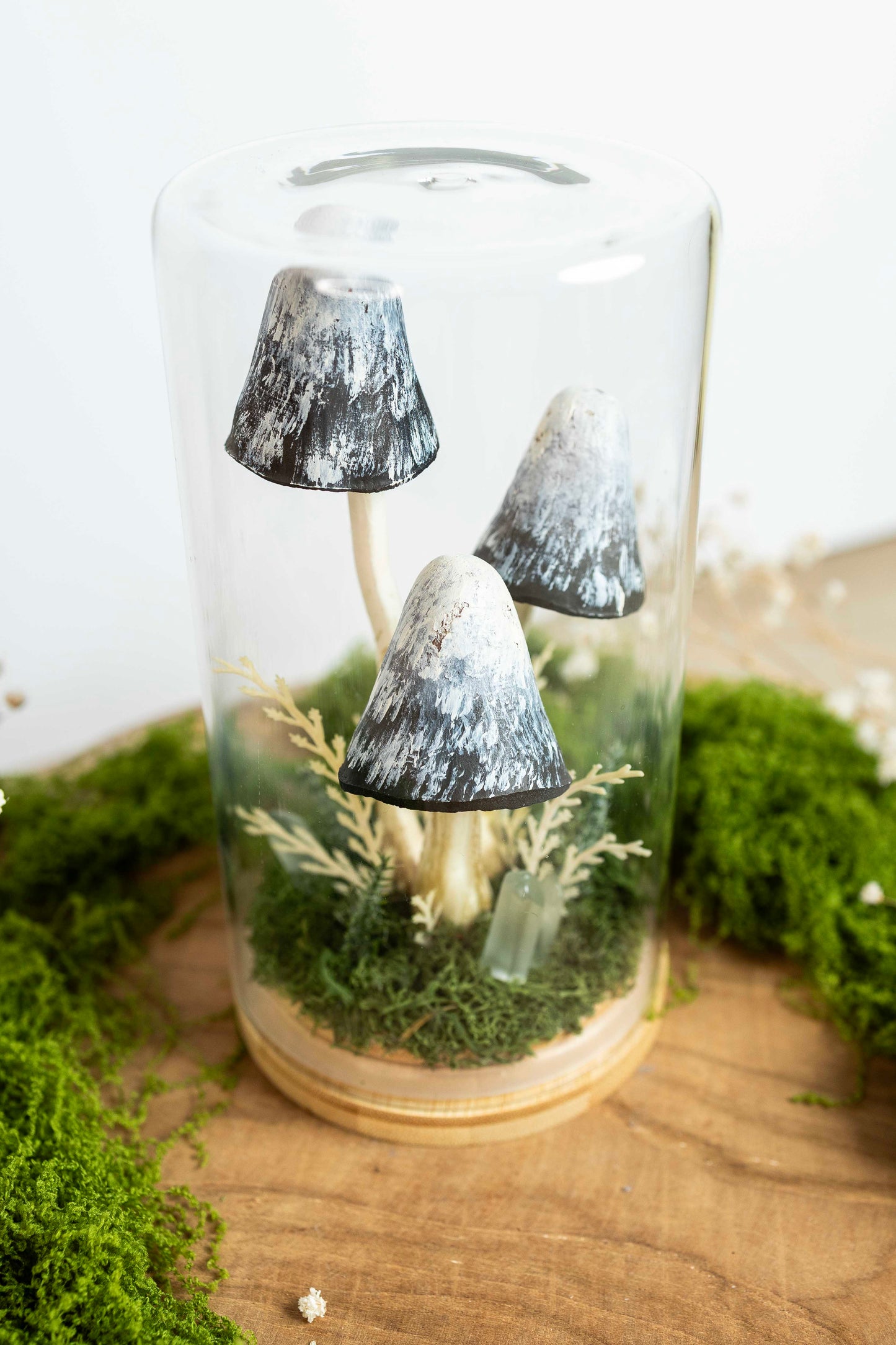 🍄 Pilzgarten - Tintling ⚫