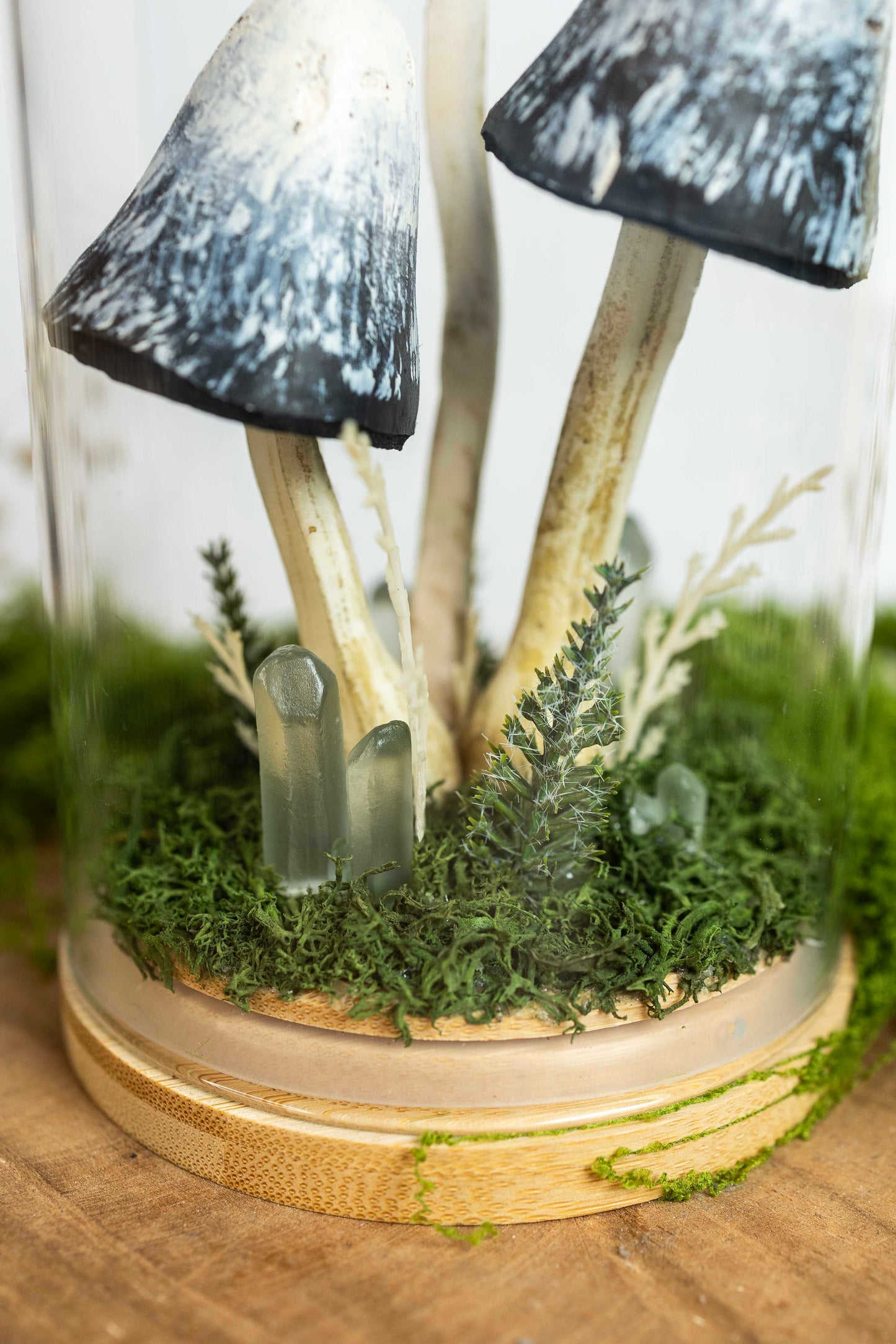 🍄 Pilzgarten - Tintling ⚫