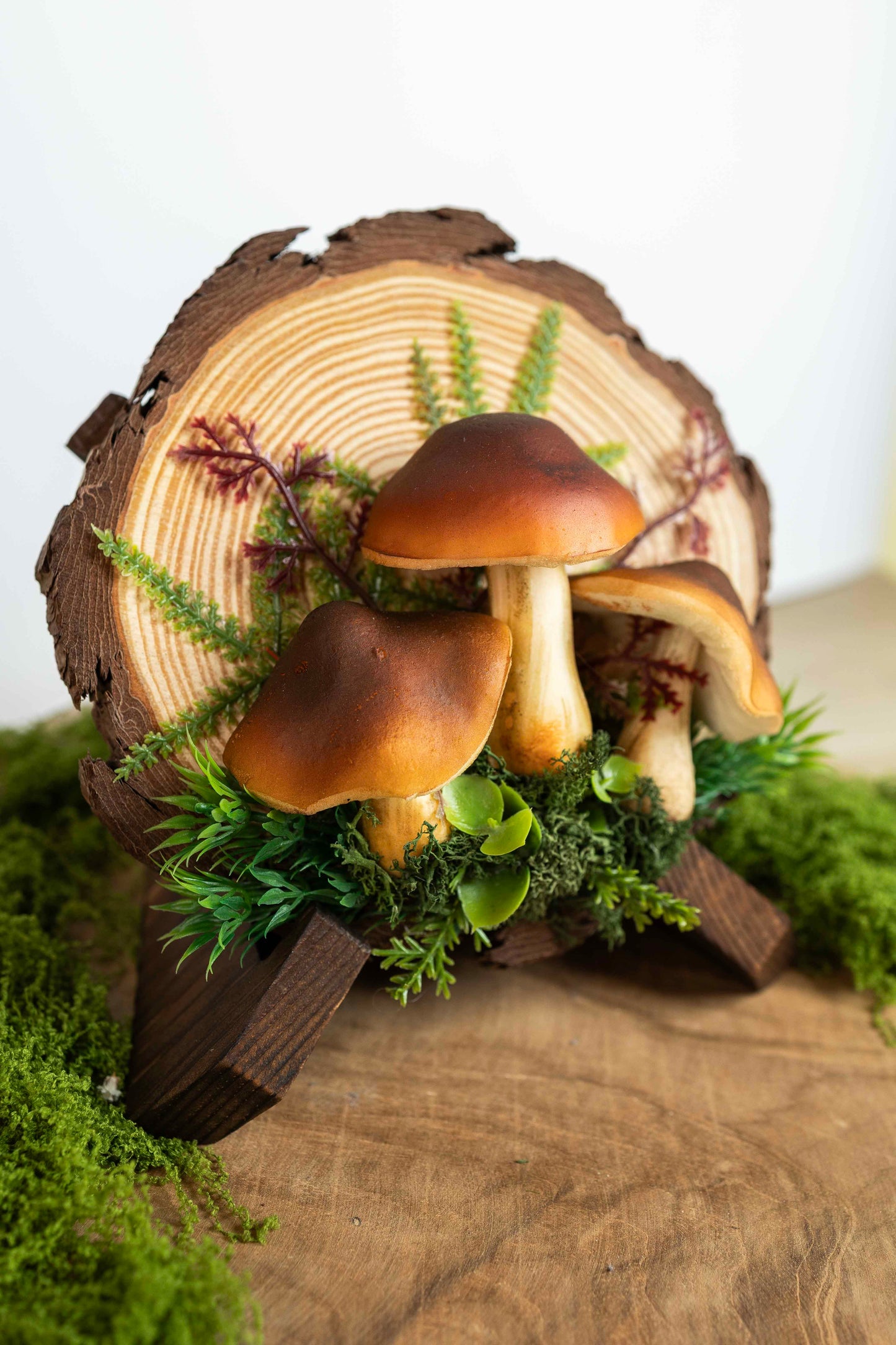 3x Steinpilz auf Holz 🌿