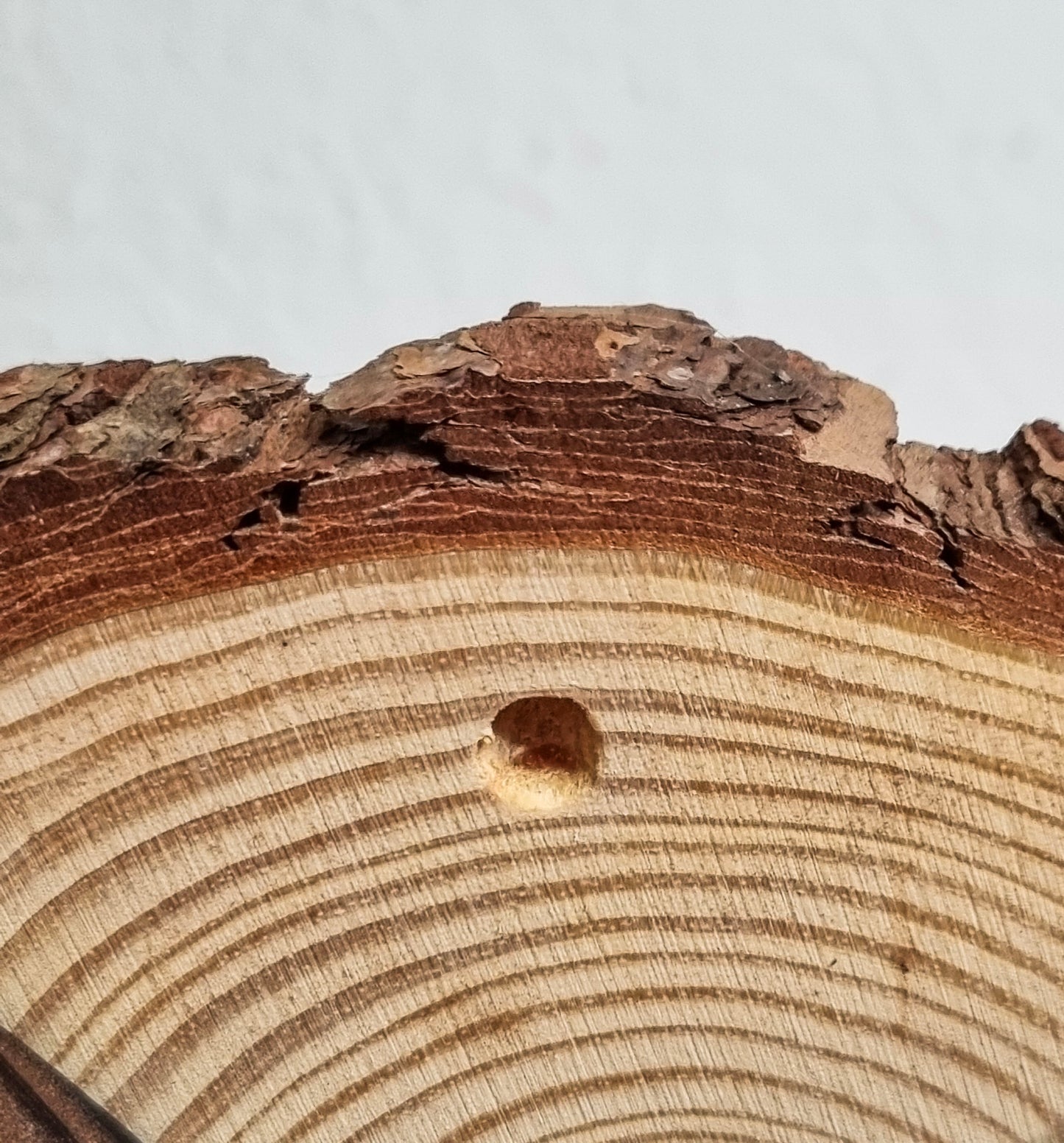 2x Fliegenpilz auf Holz🍄 🌿