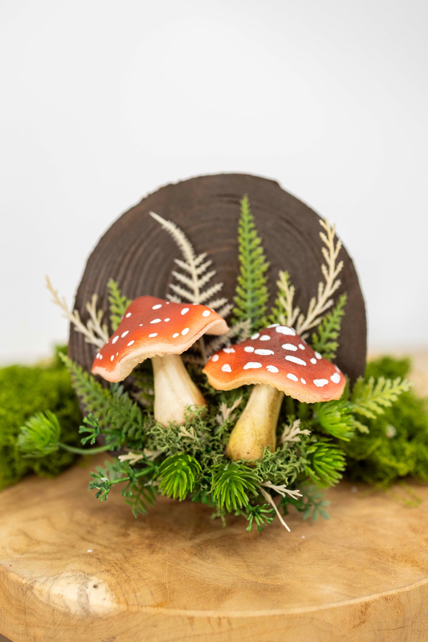 2x Fliegenpilz auf Holz🍄 🌿