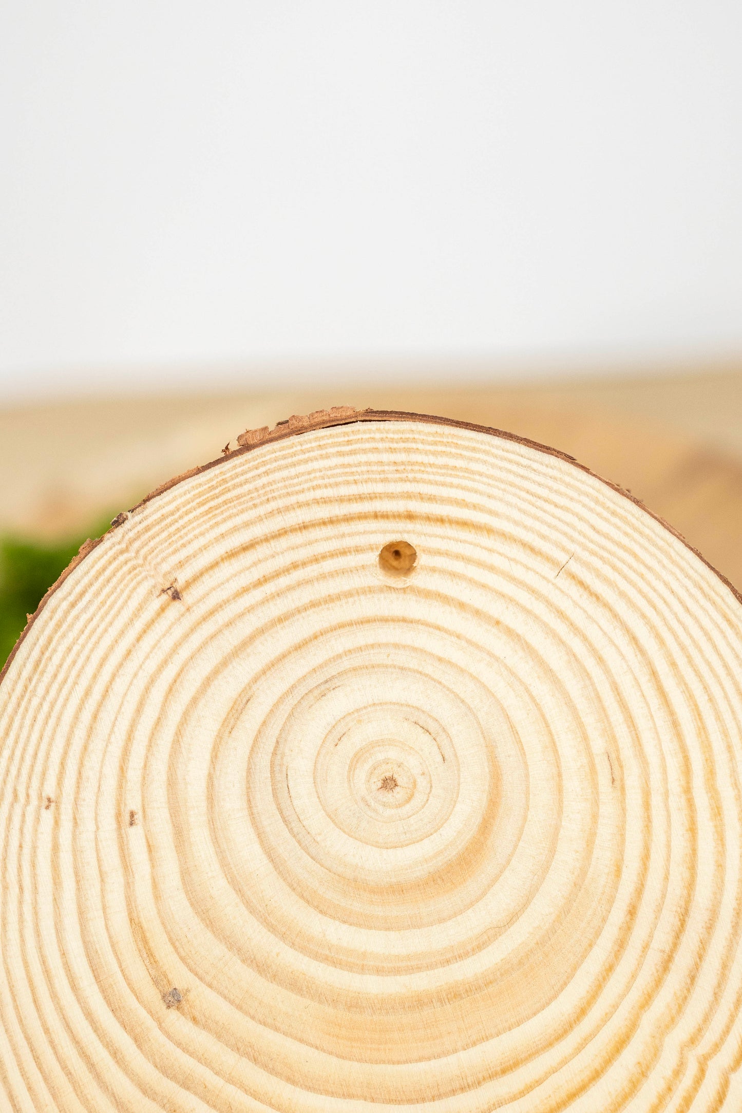 2x Fliegenpilz auf Holz🍄 🌿