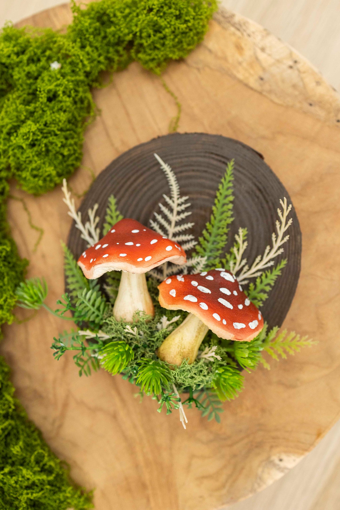 2x Fliegenpilz auf Holz🍄 🌿