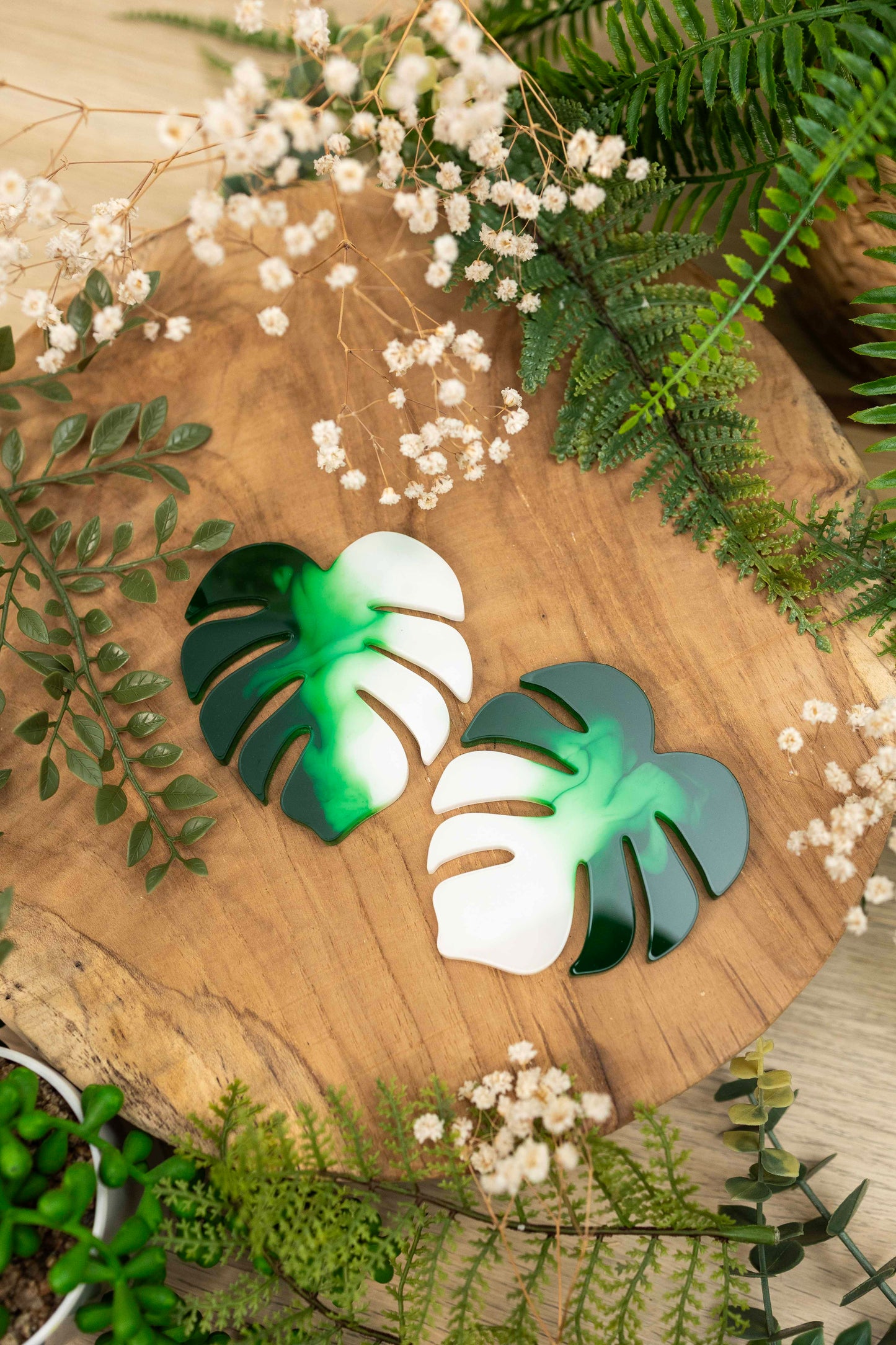 Untersetzer 4er Set - Monstera🌿