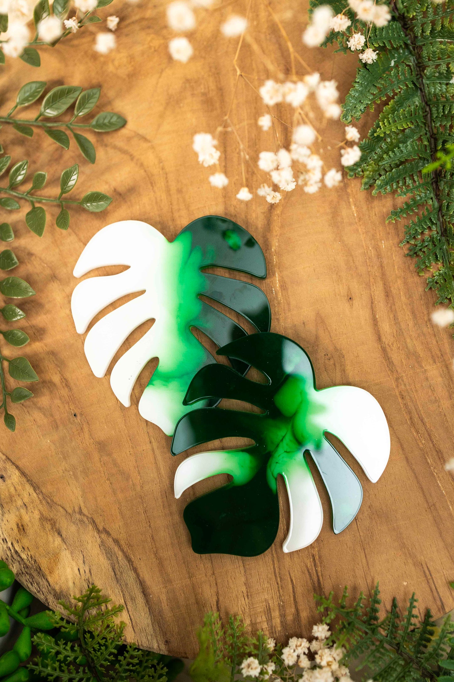 Untersetzer 4er Set - Monstera🌿