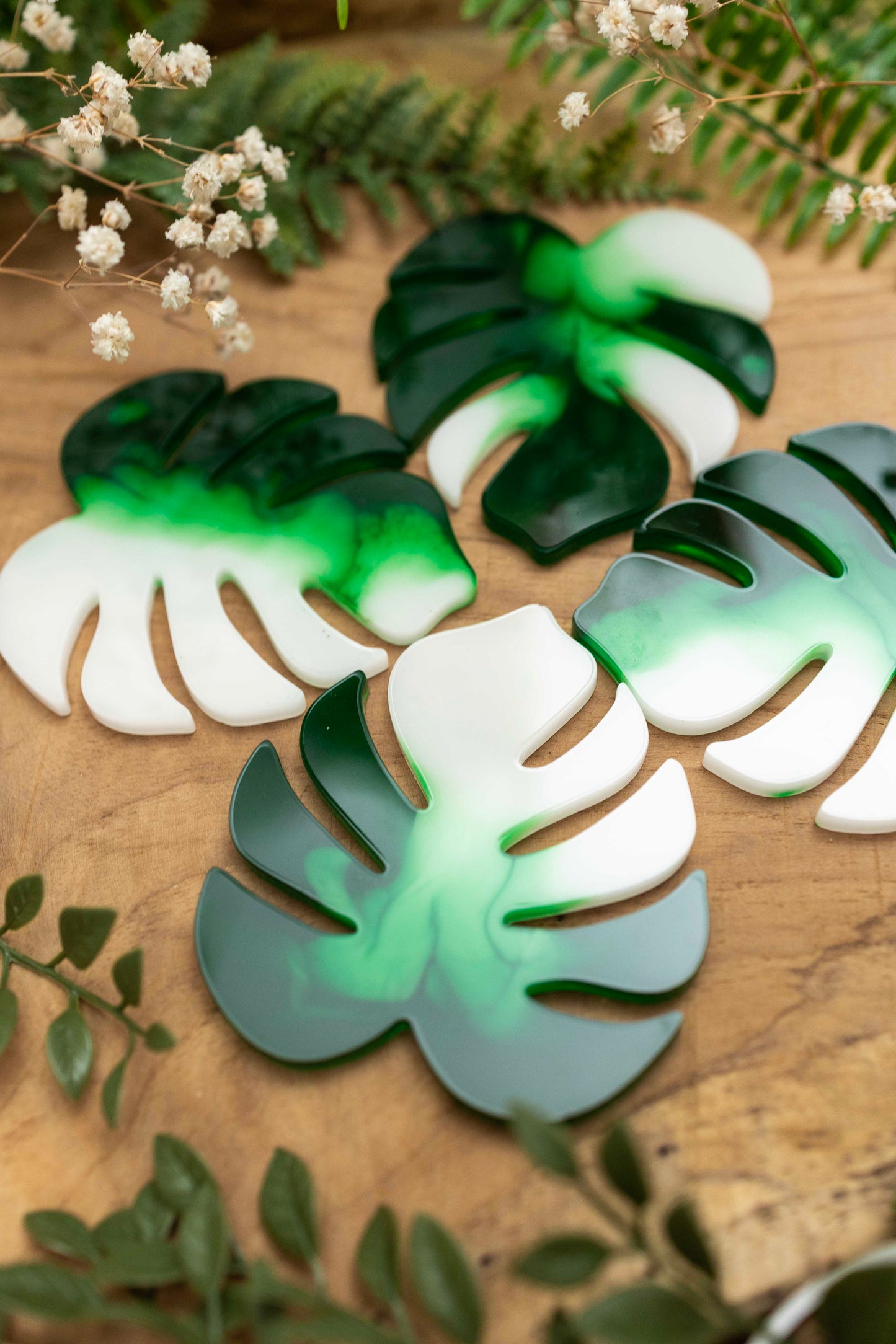 Untersetzer 4er Set - Monstera🌿