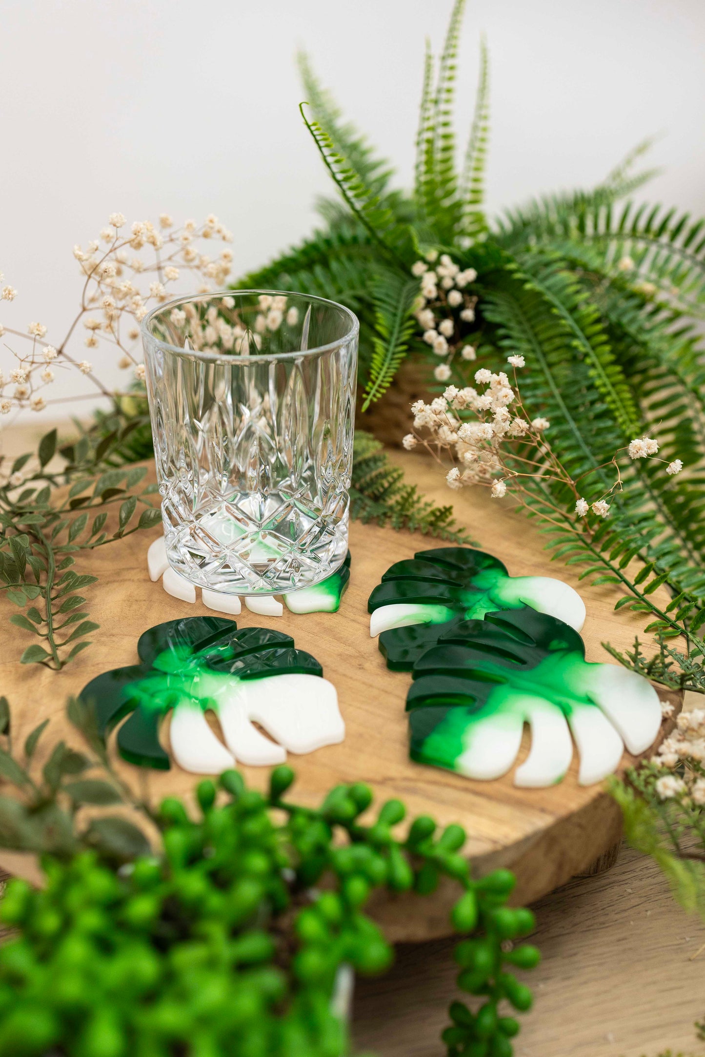 Untersetzer 4er Set - Monstera🌿
