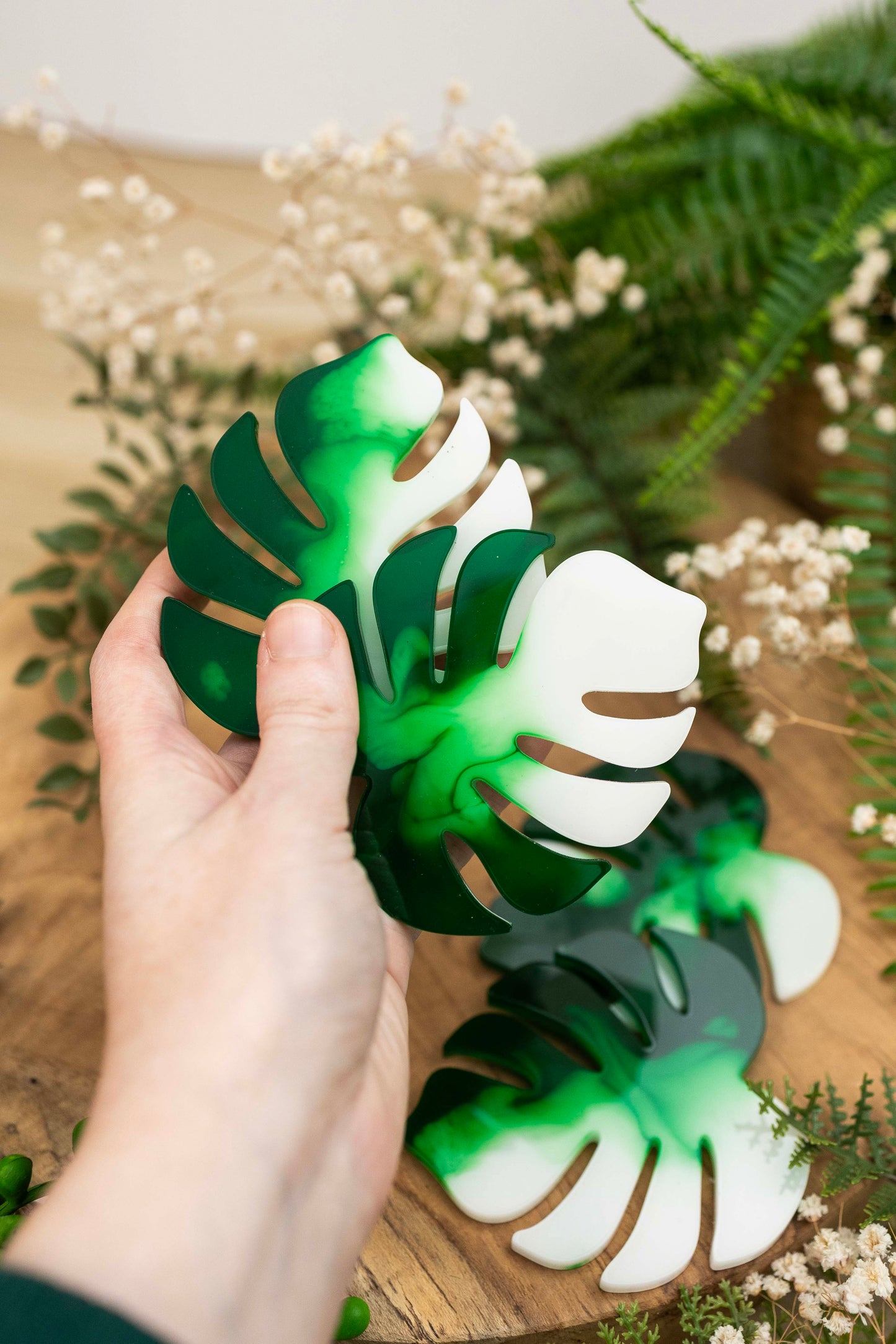 Untersetzer 4er Set - Monstera🌿