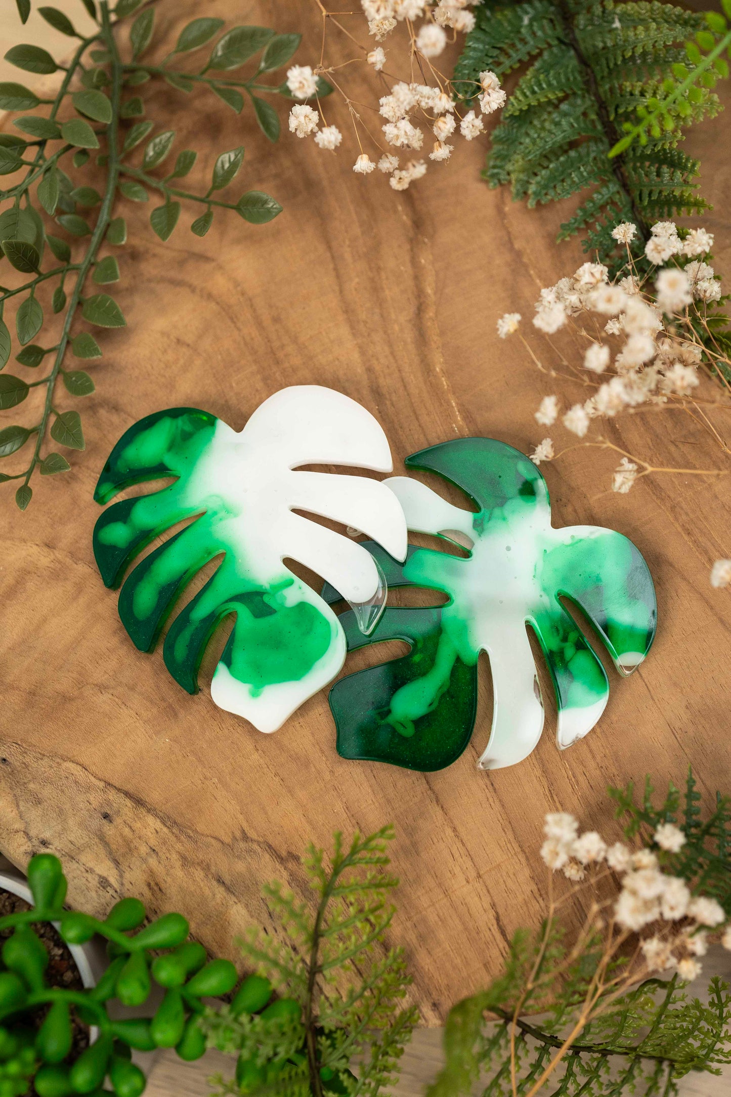 Untersetzer Set - Monstera🌿