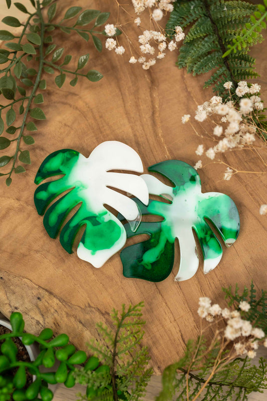 Untersetzer Set - Monstera🌿