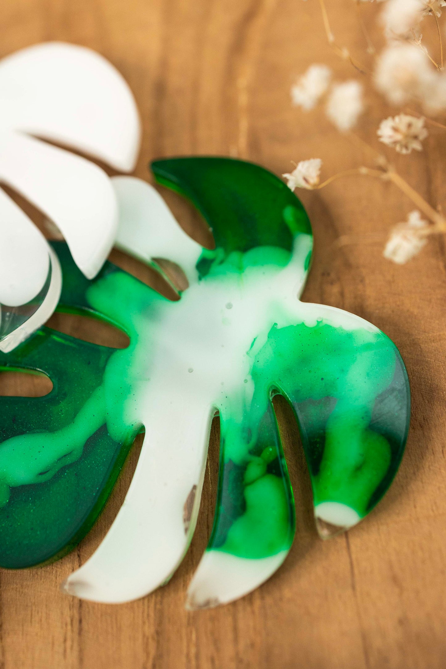 Untersetzer Set - Monstera🌿