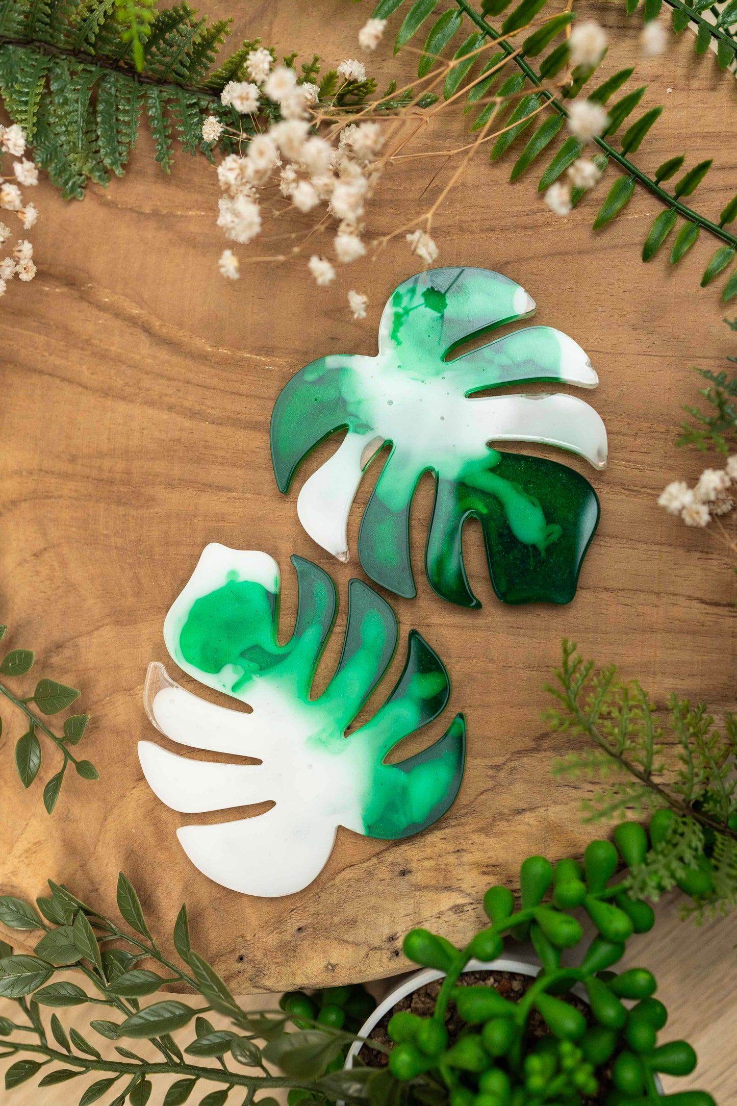 Untersetzer Set - Monstera🌿