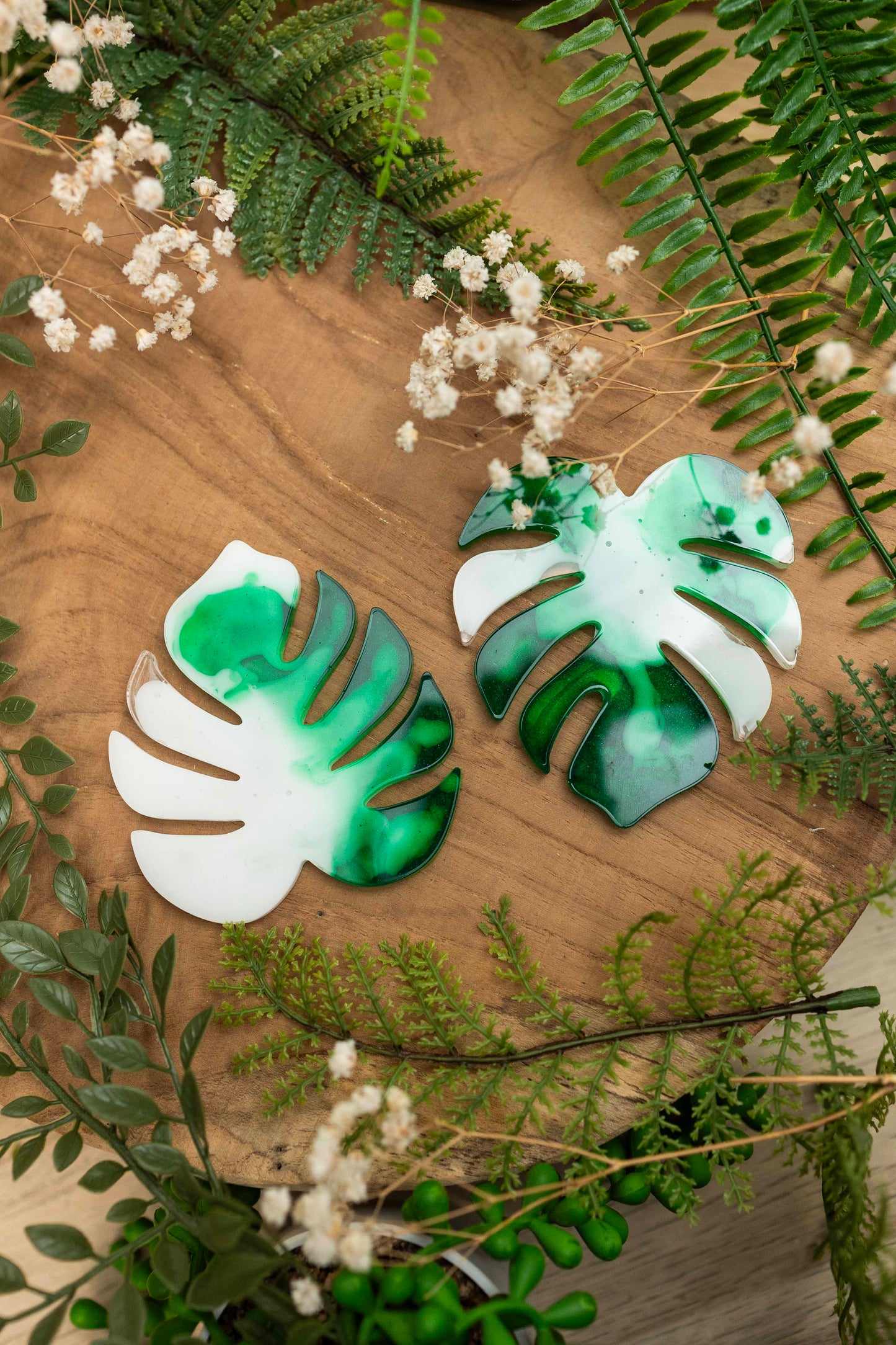 Untersetzer Set - Monstera🌿