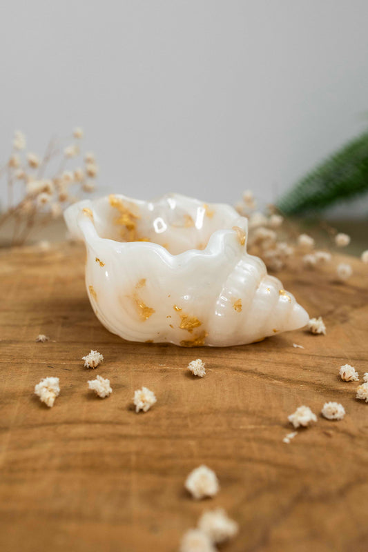 Muschel Schmuckschale ⚪