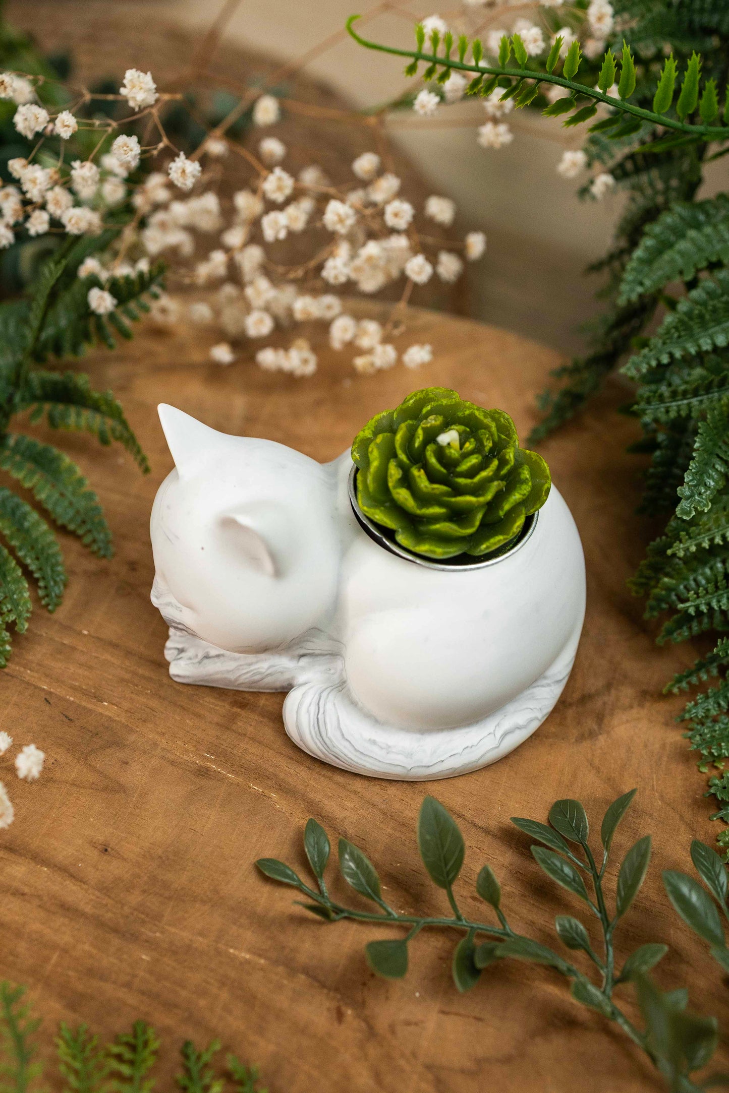 Katzenkerze 🕯️