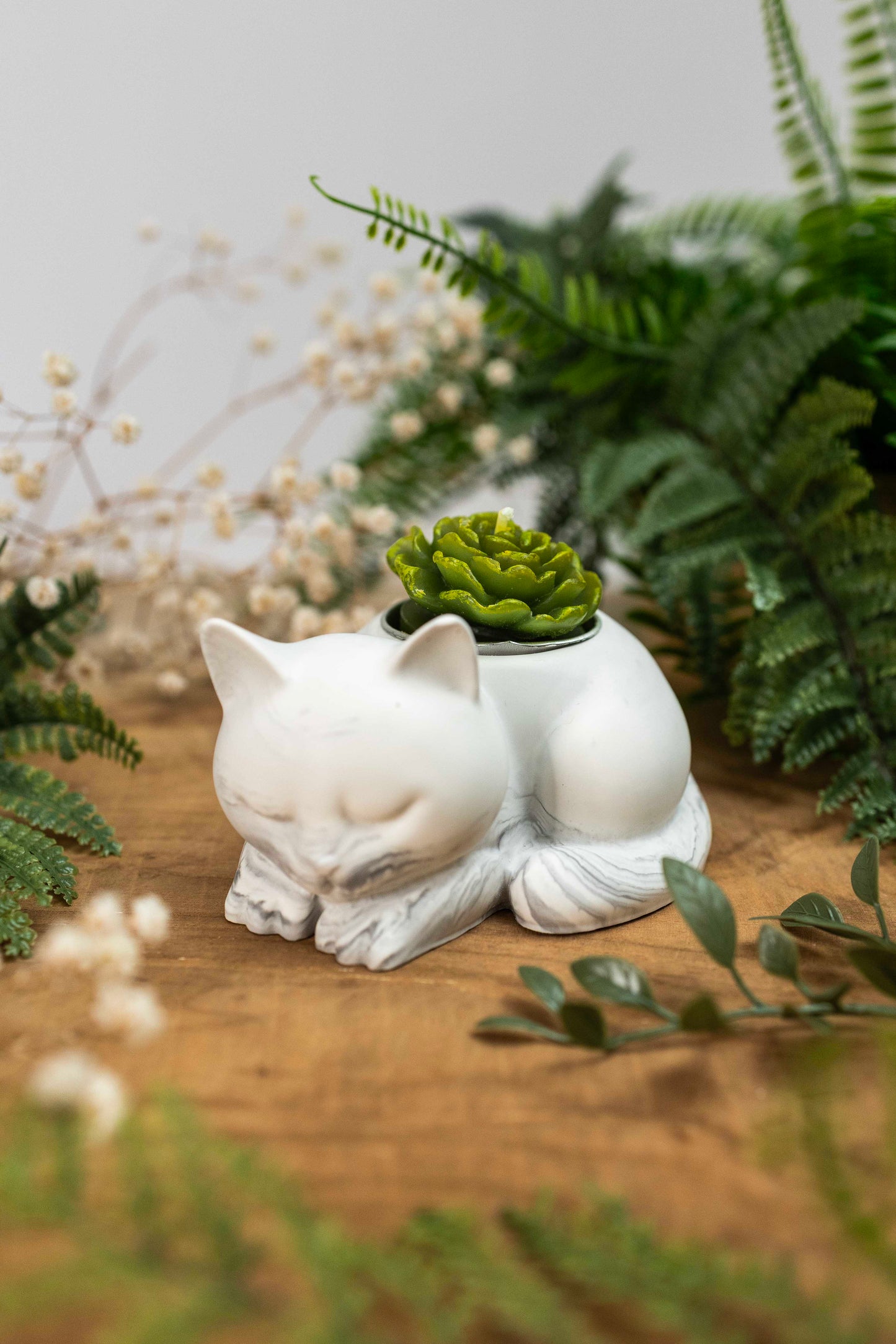 Katzenkerze 🕯️