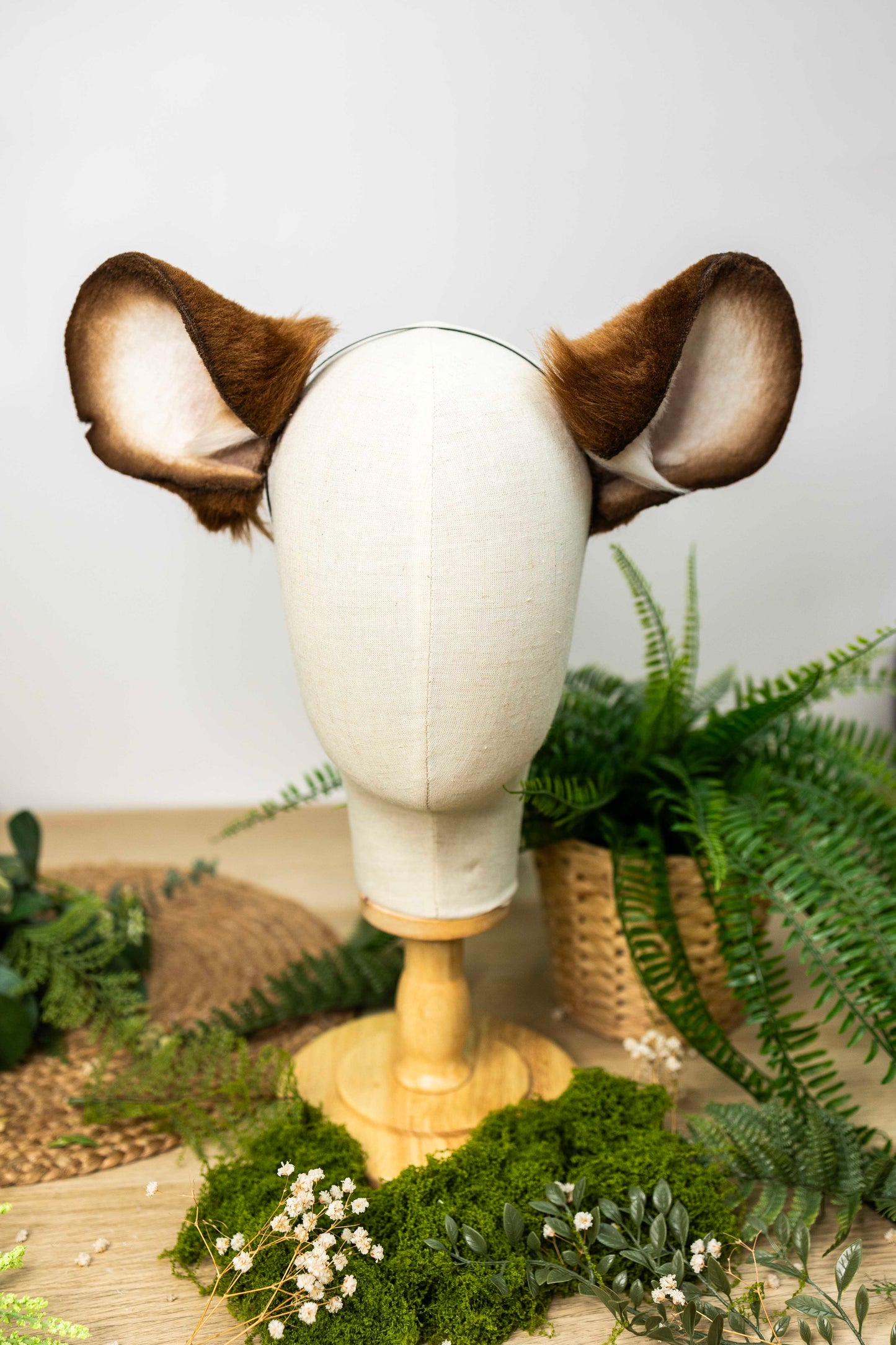 Mausohren -Braun 🌰🐭