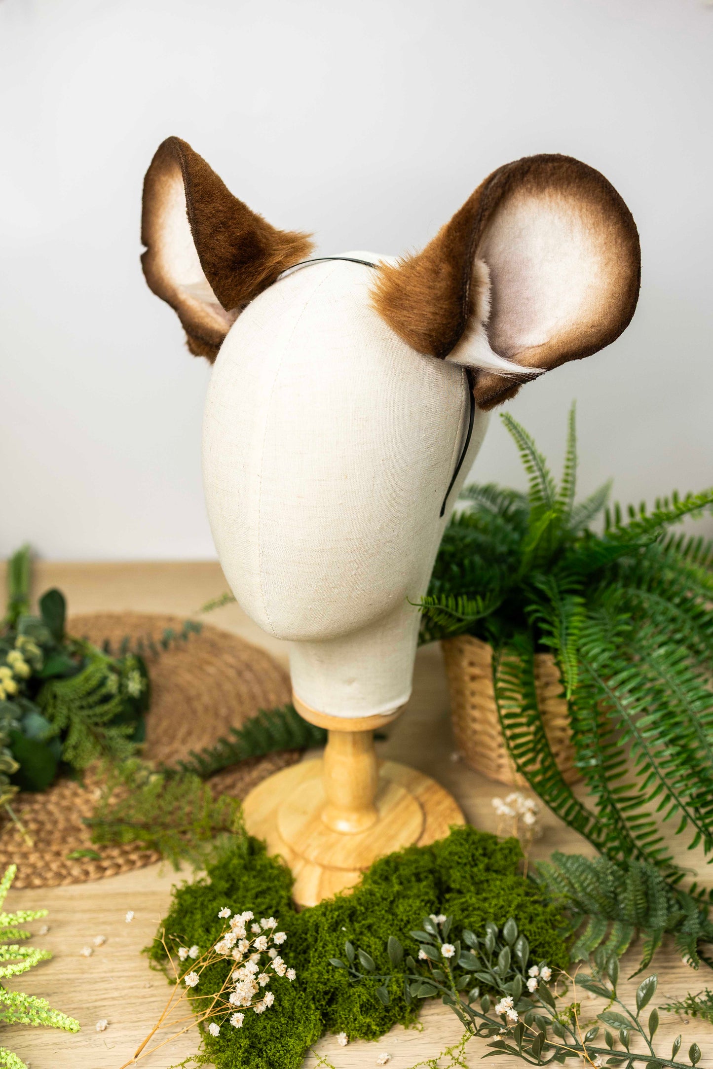 Mausohren -Braun 🌰🐭