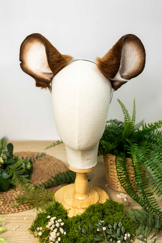 Mausohren -Braun 🌰🐭