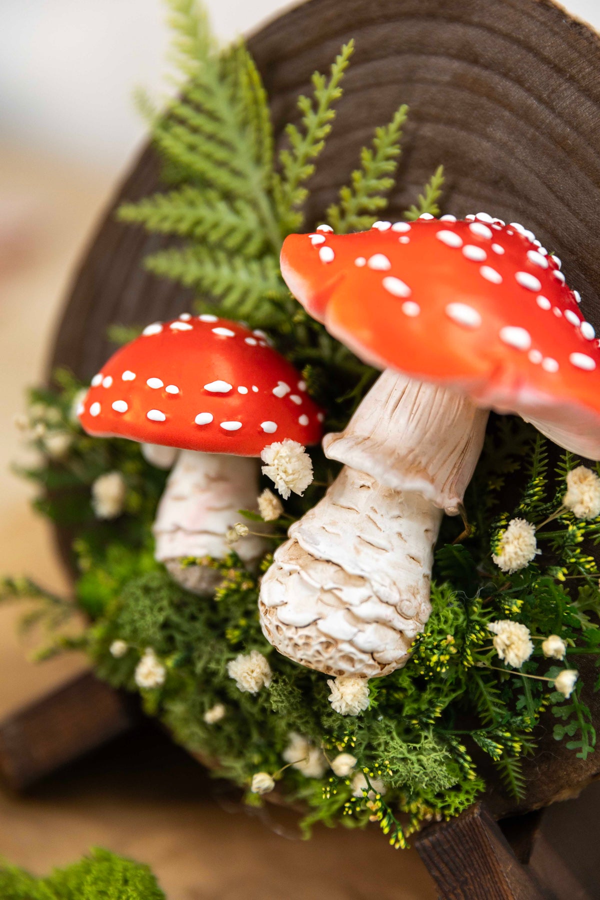 2x Fliegenpilz auf Holz🍄 🌿