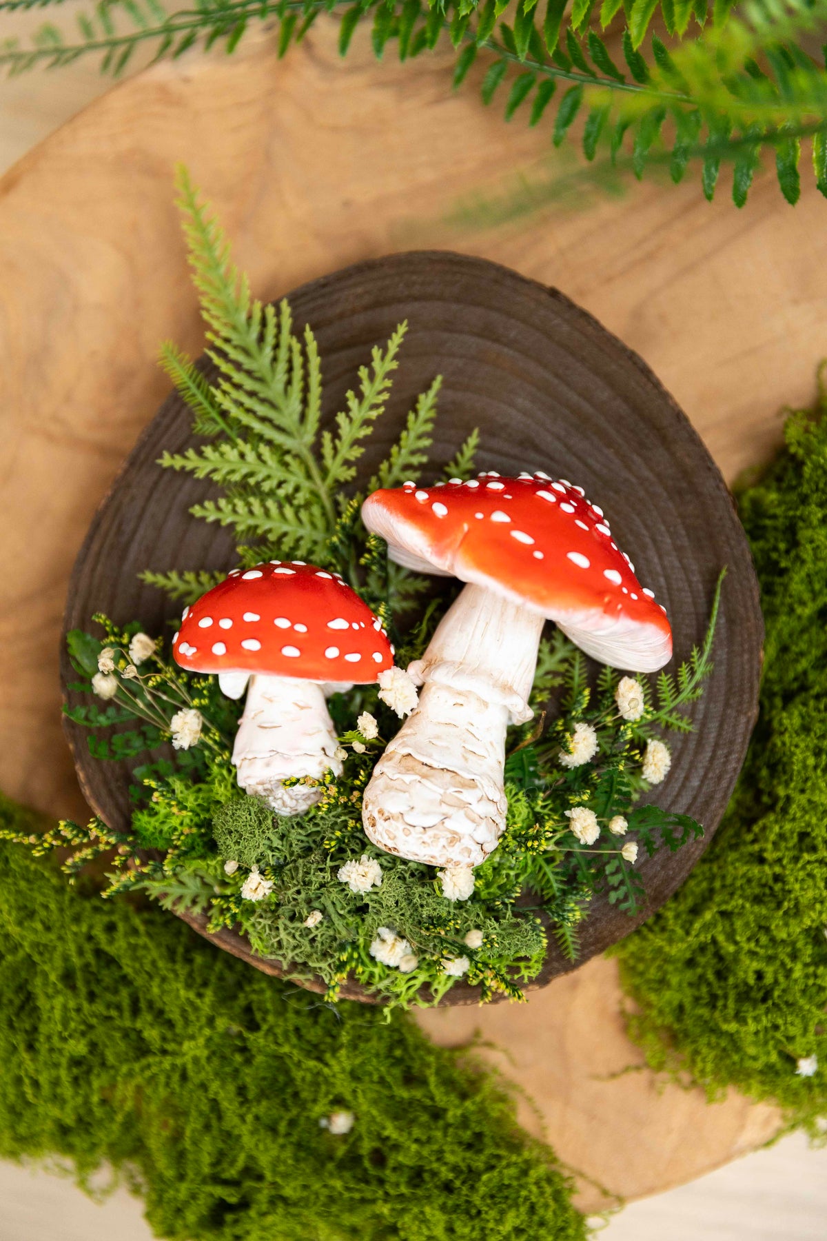 2x Fliegenpilz auf Holz🍄 🌿