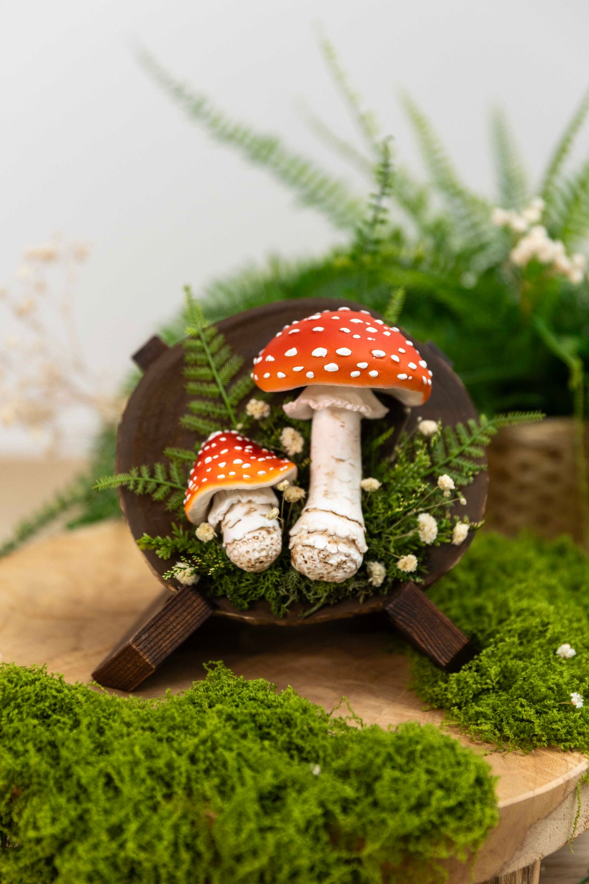 2x Fliegenpilz auf Holz🍄 🌿