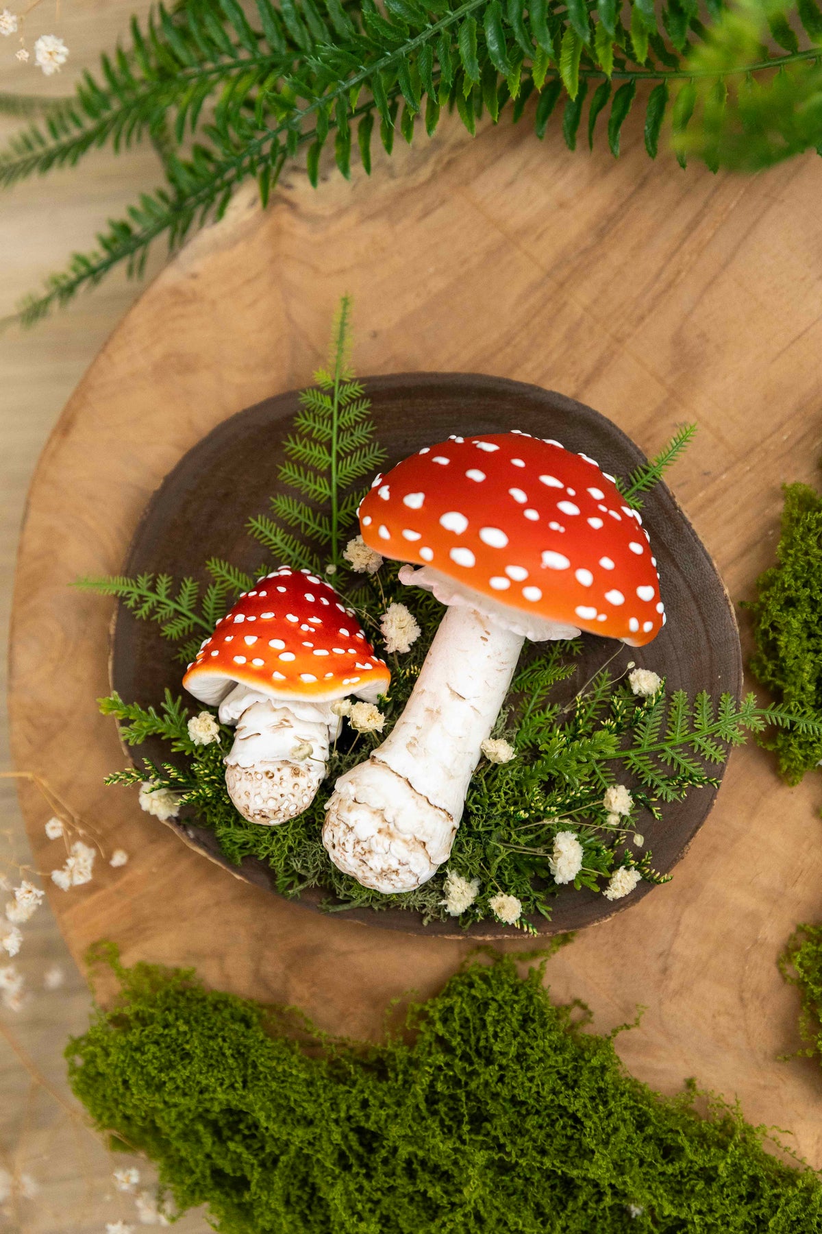2x Fliegenpilz auf Holz🍄 🌿