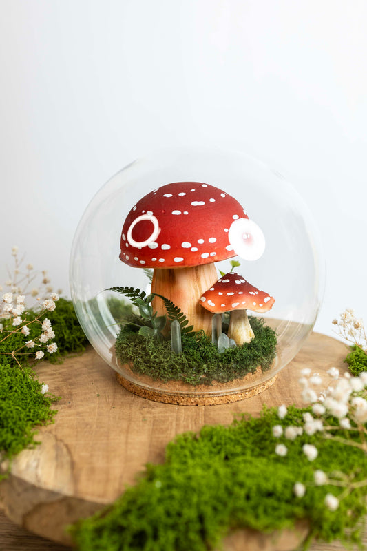 🍄 Pilzwelt unter Glas✨