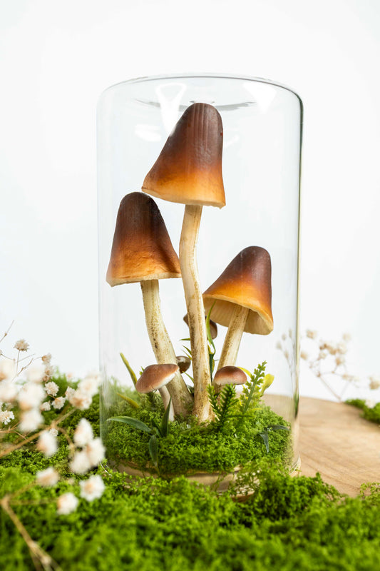 🍄 Pilzgarten - braun 🌰