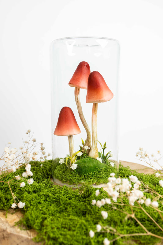 🍄 Pilzgarten - rot
