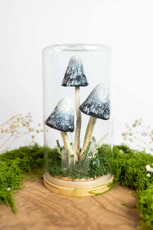 🍄 Pilzgarten - Tintling ⚫