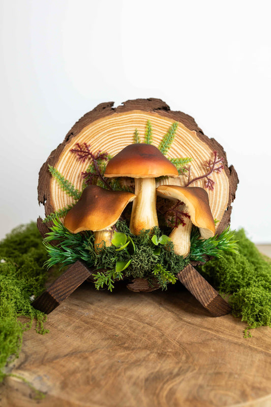 3x Steinpilz auf Holz 🌿