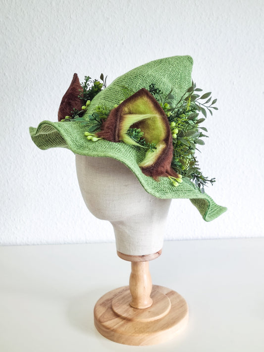 Hexenhut Waldpfote 🌿