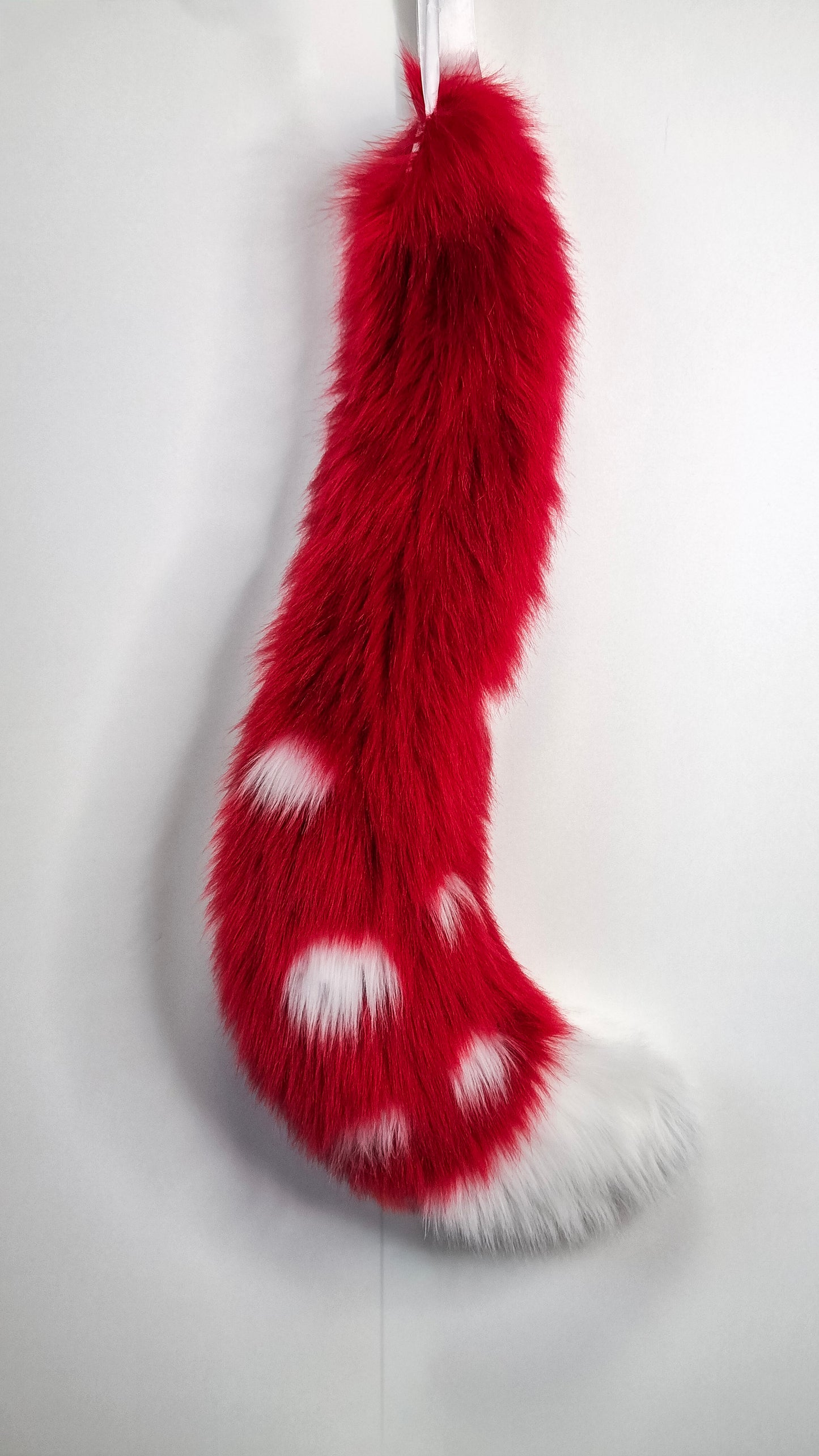 PilzKatzen-Schwanz 2