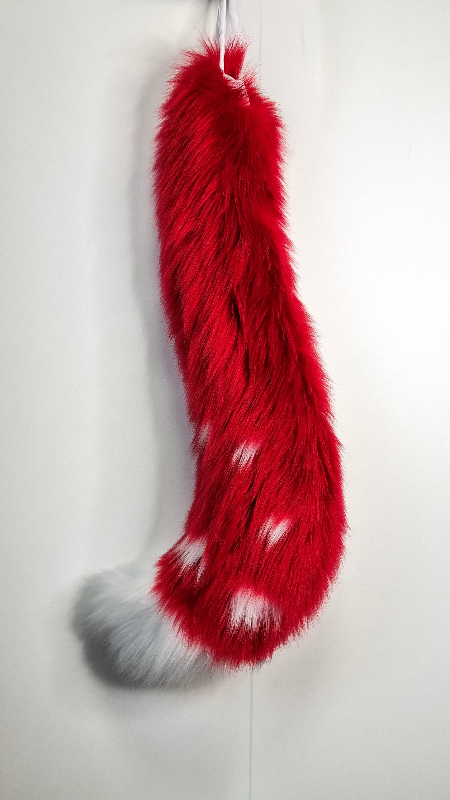 PilzKatzen-Schwanz 2