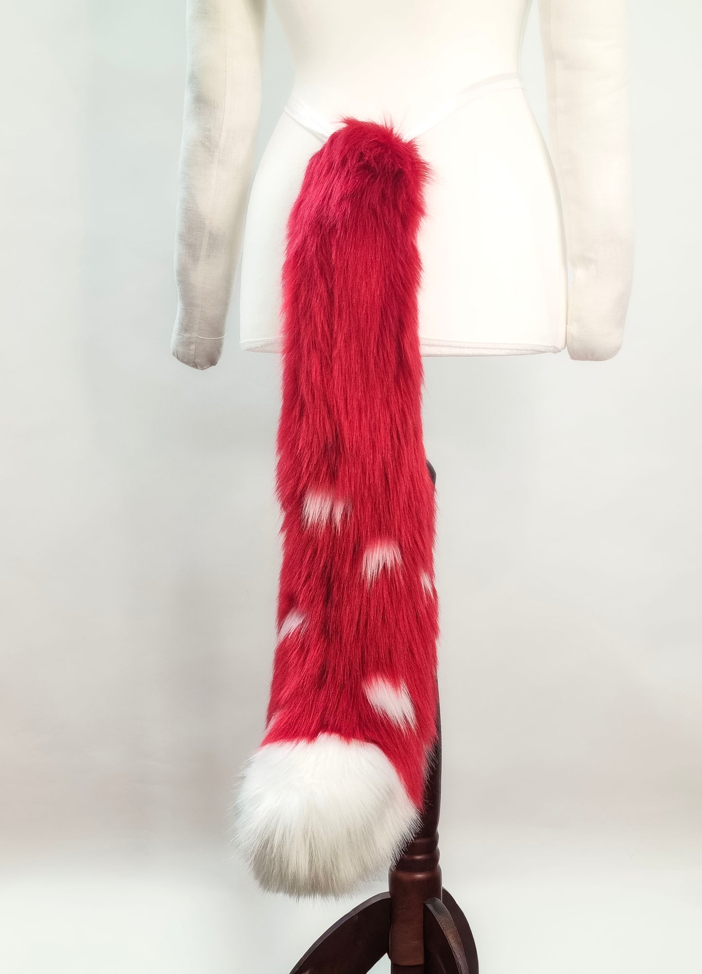 PilzKatzen-Schwanz 2