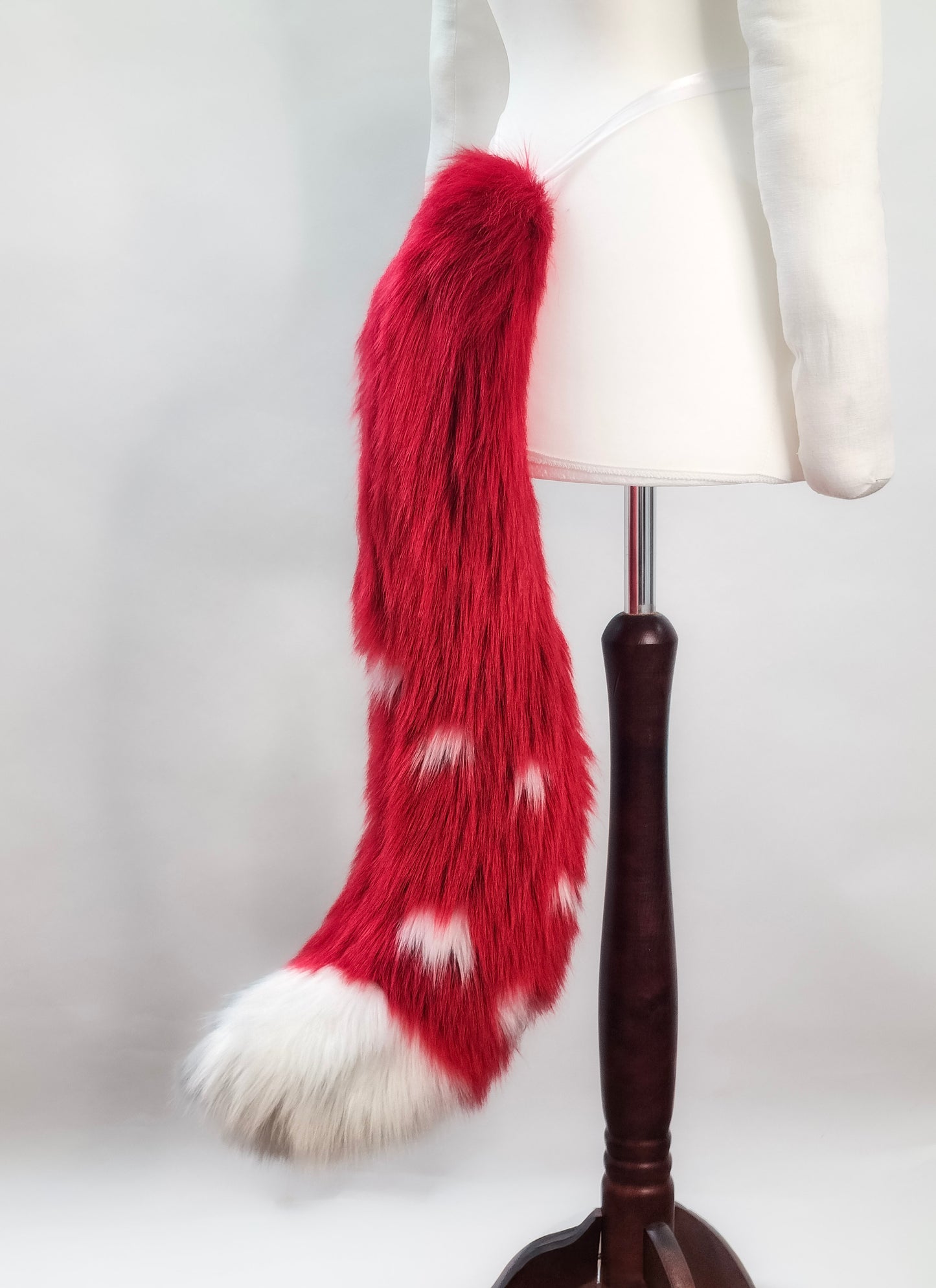 PilzKatzen-Schwanz 2