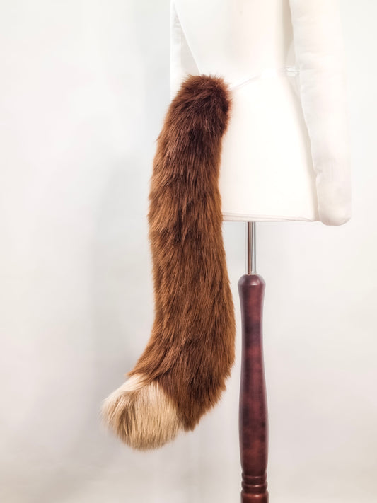 Katzen-Schwanz Braun 2