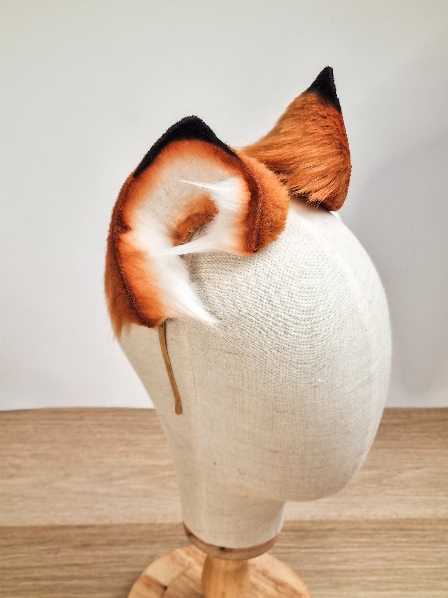 Fuchs Katze