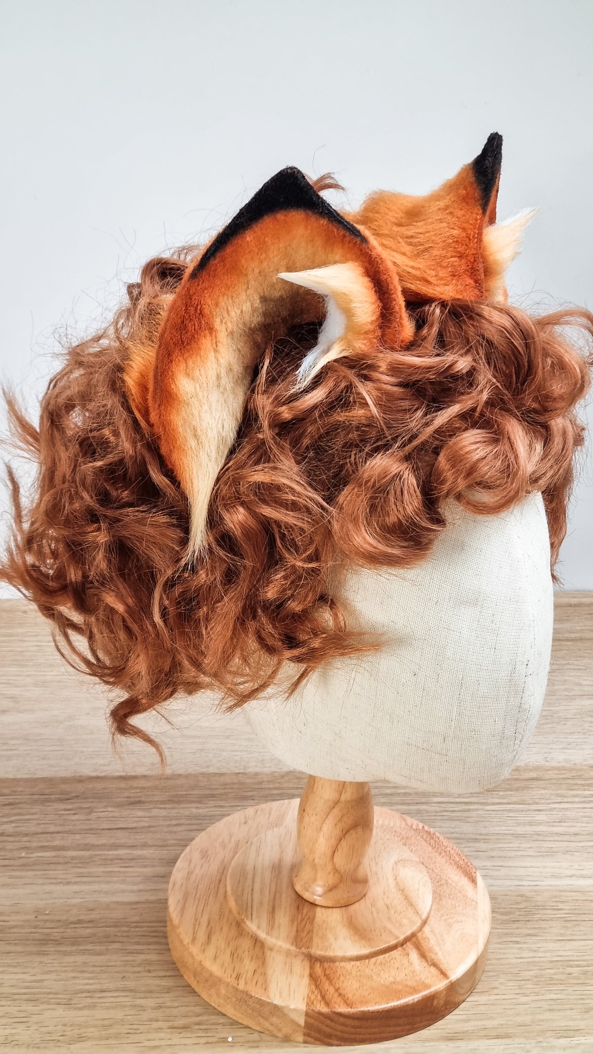 Fuchs Katze
