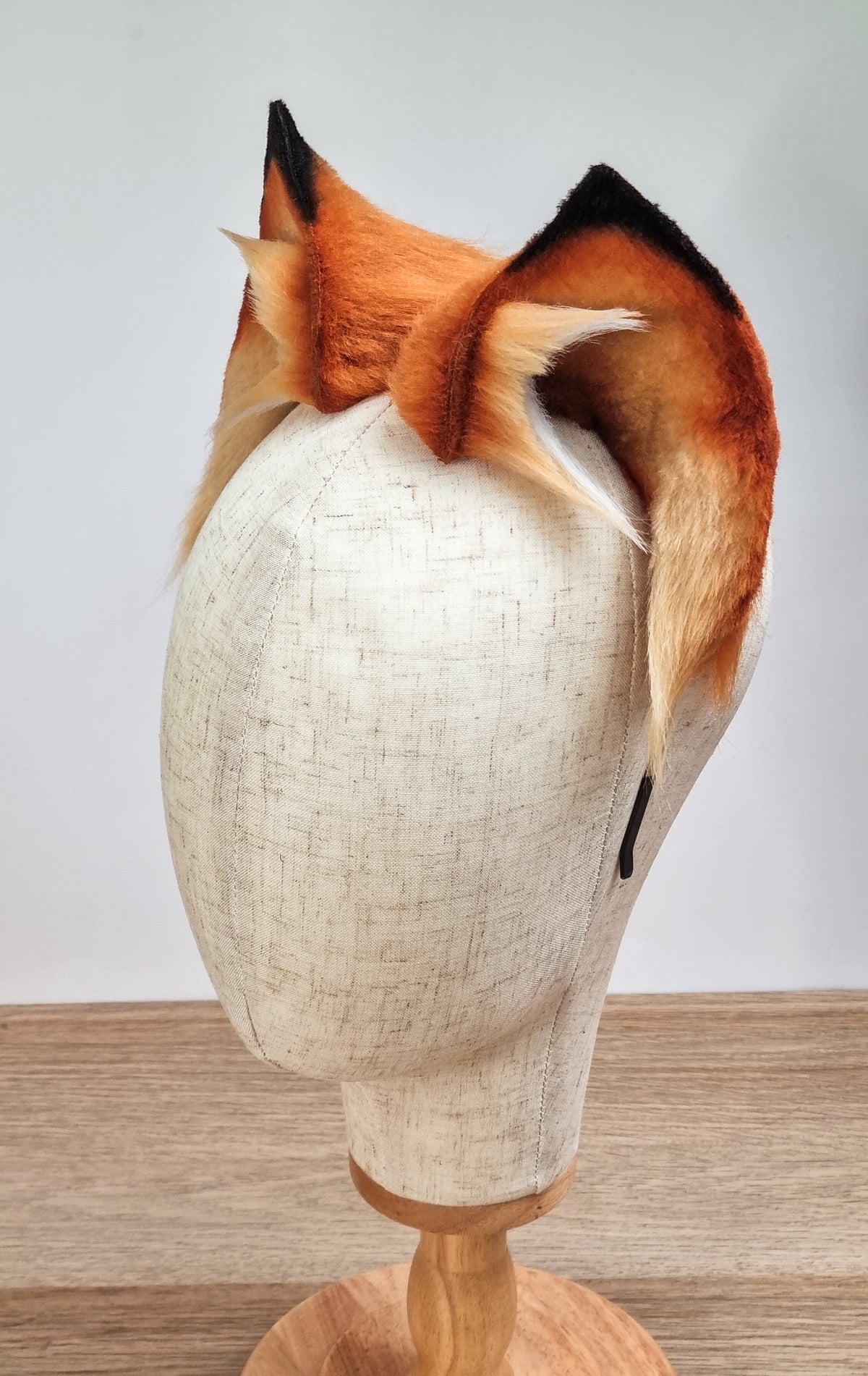 Fuchs Katze